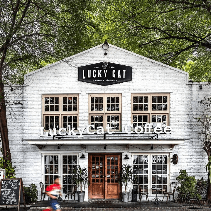 Lucky Cat Coffee & Kitchen 3