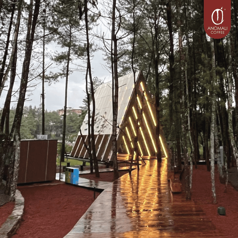 Anomali Coffee Menteng 4