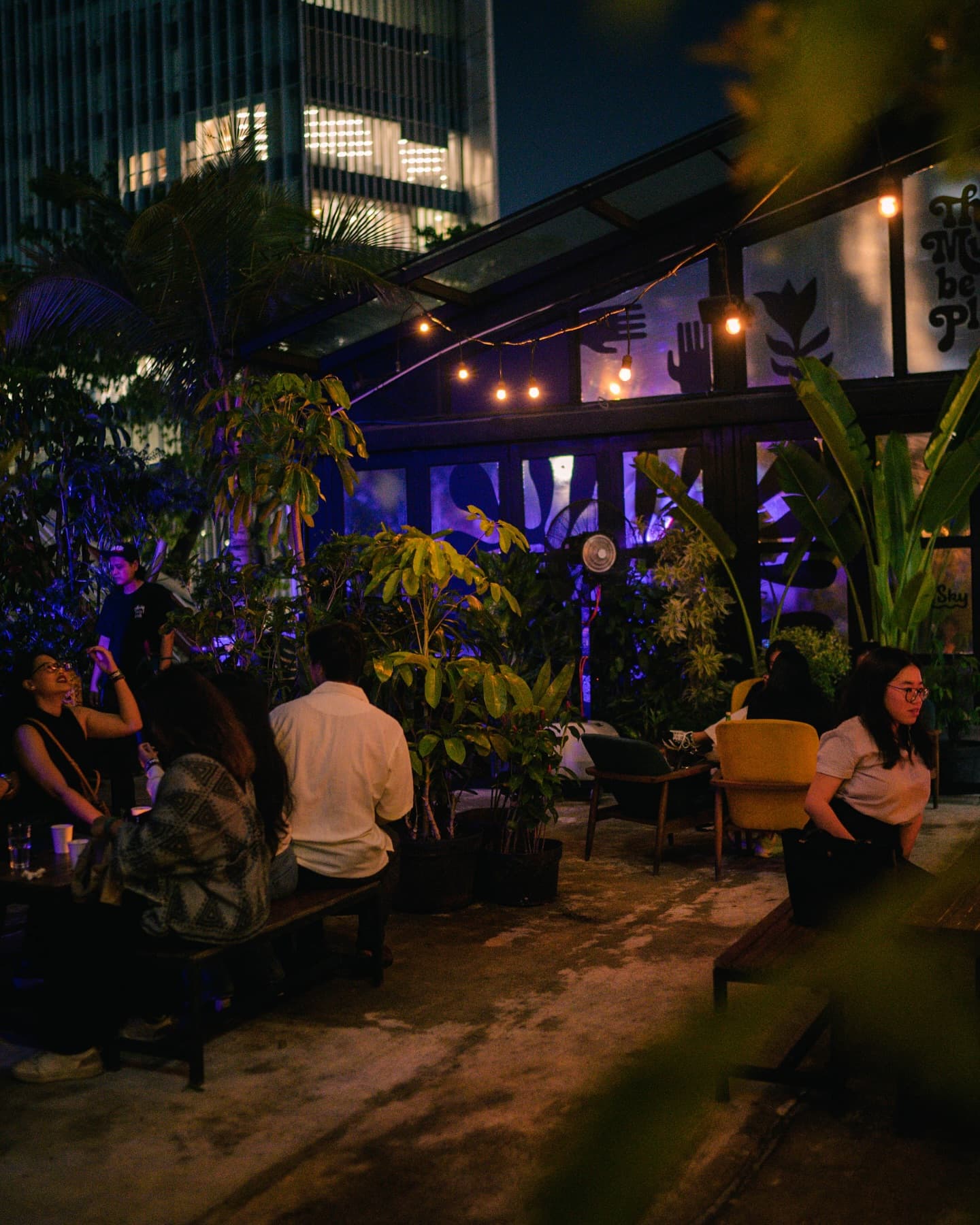 Lucy In The Sky Spark 5