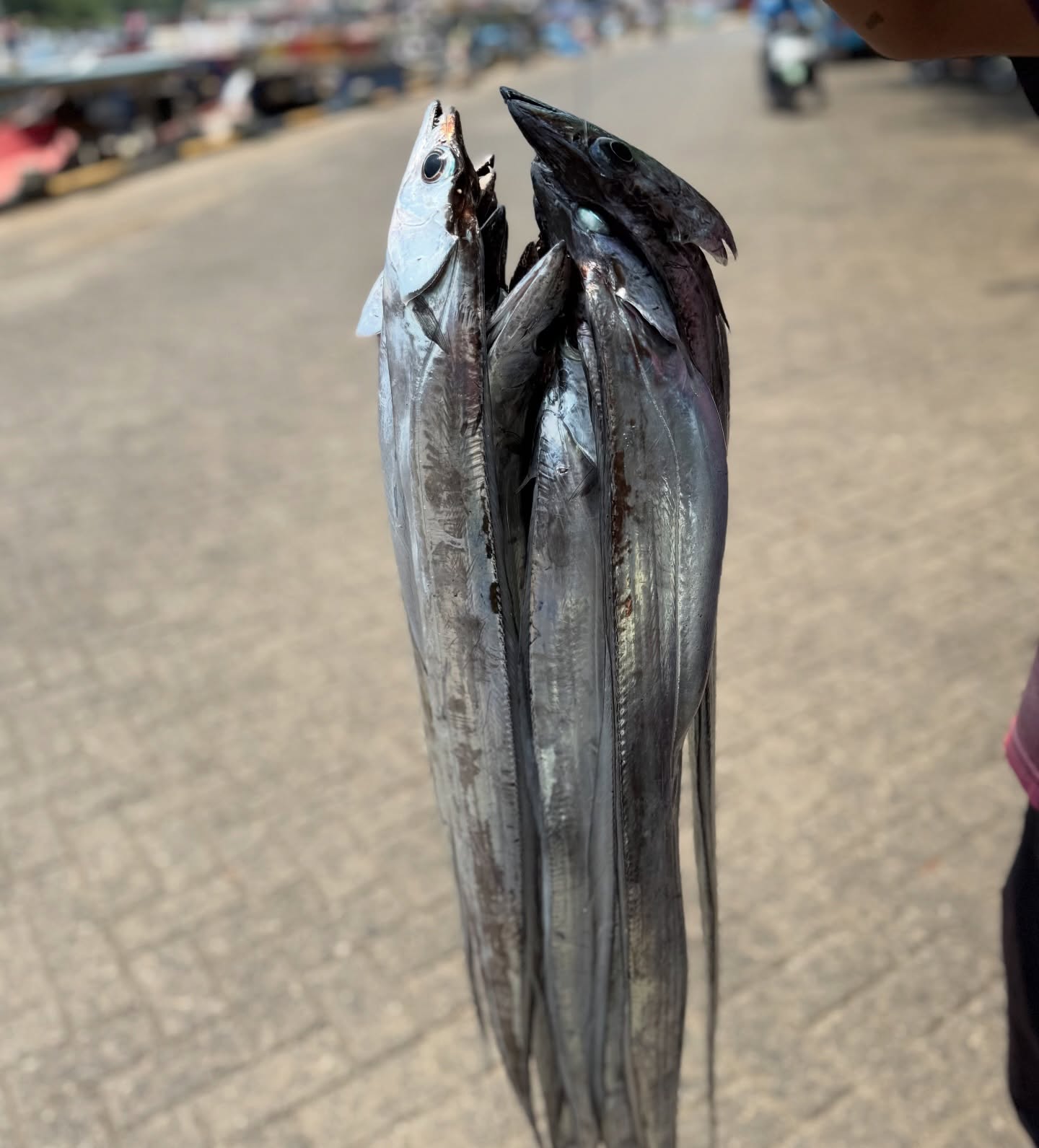 Anjay! Demi nyobain Sashimi paling otentik se-Cikarang, gue sampe blusukan ke driving range golf? 8