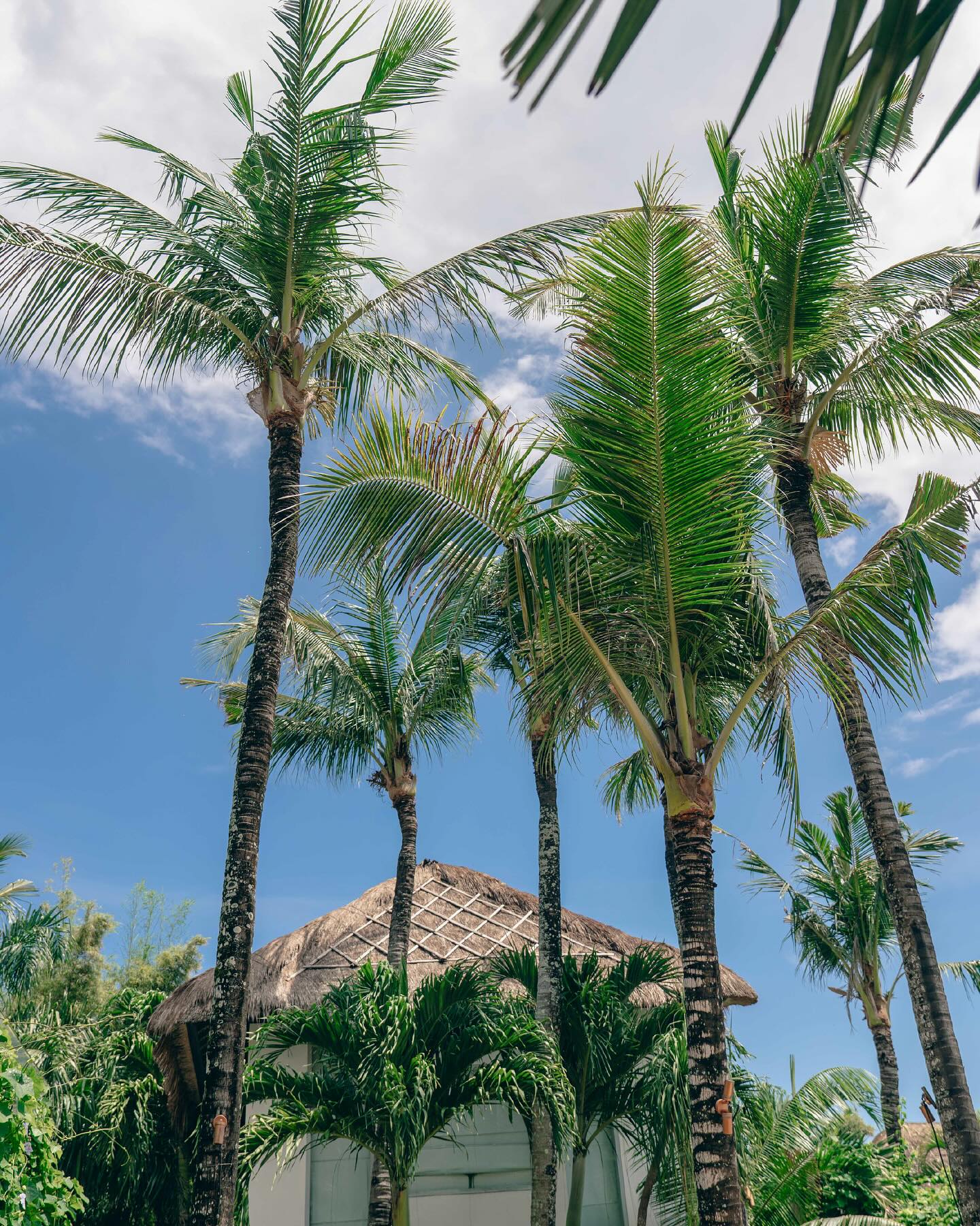 Uluwatu的悬崖日落，真有Instagram上那么神吗？ 4