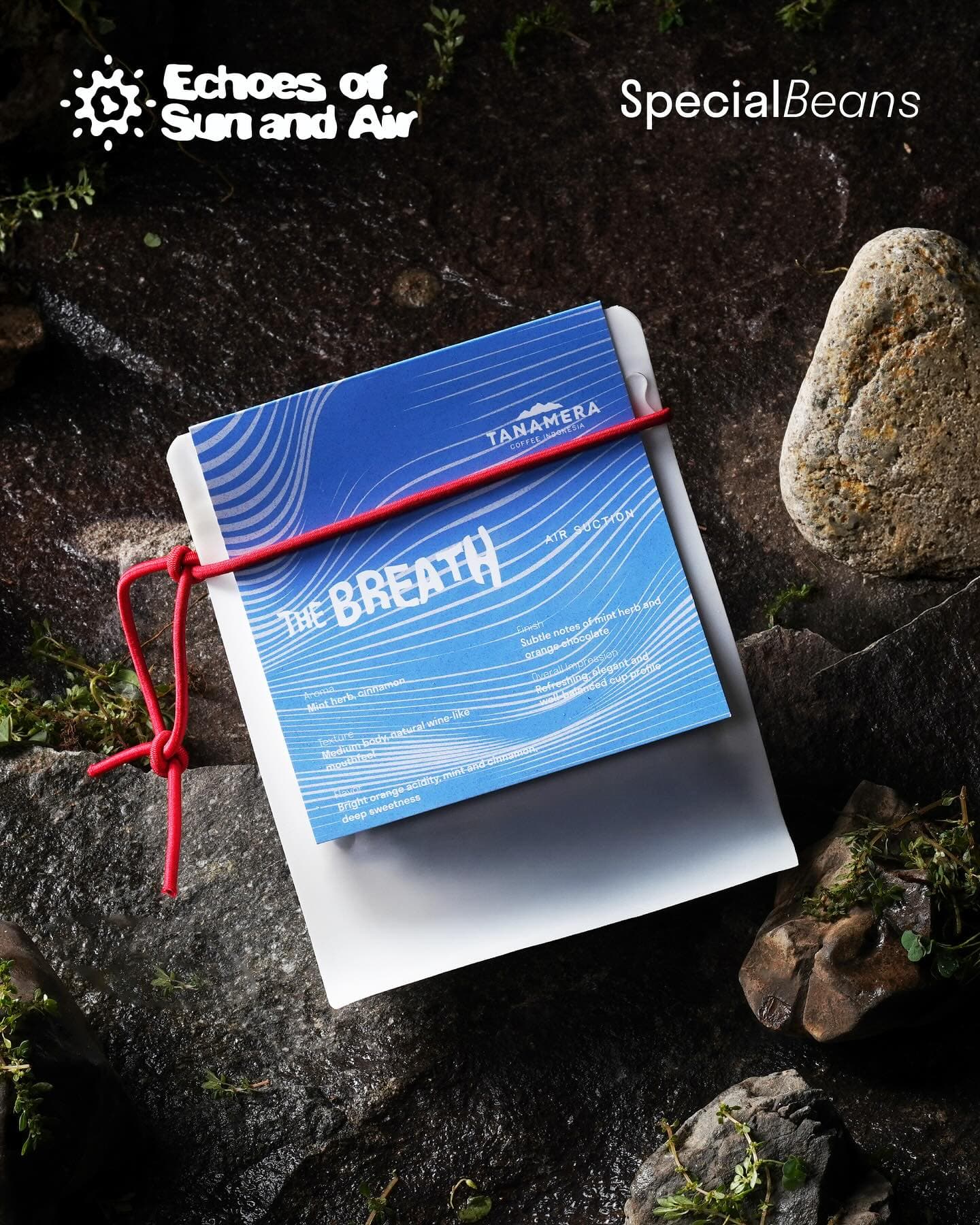 Calling All Coffeeholics! This Jakarta spot is a mess... except for the coffee. 2