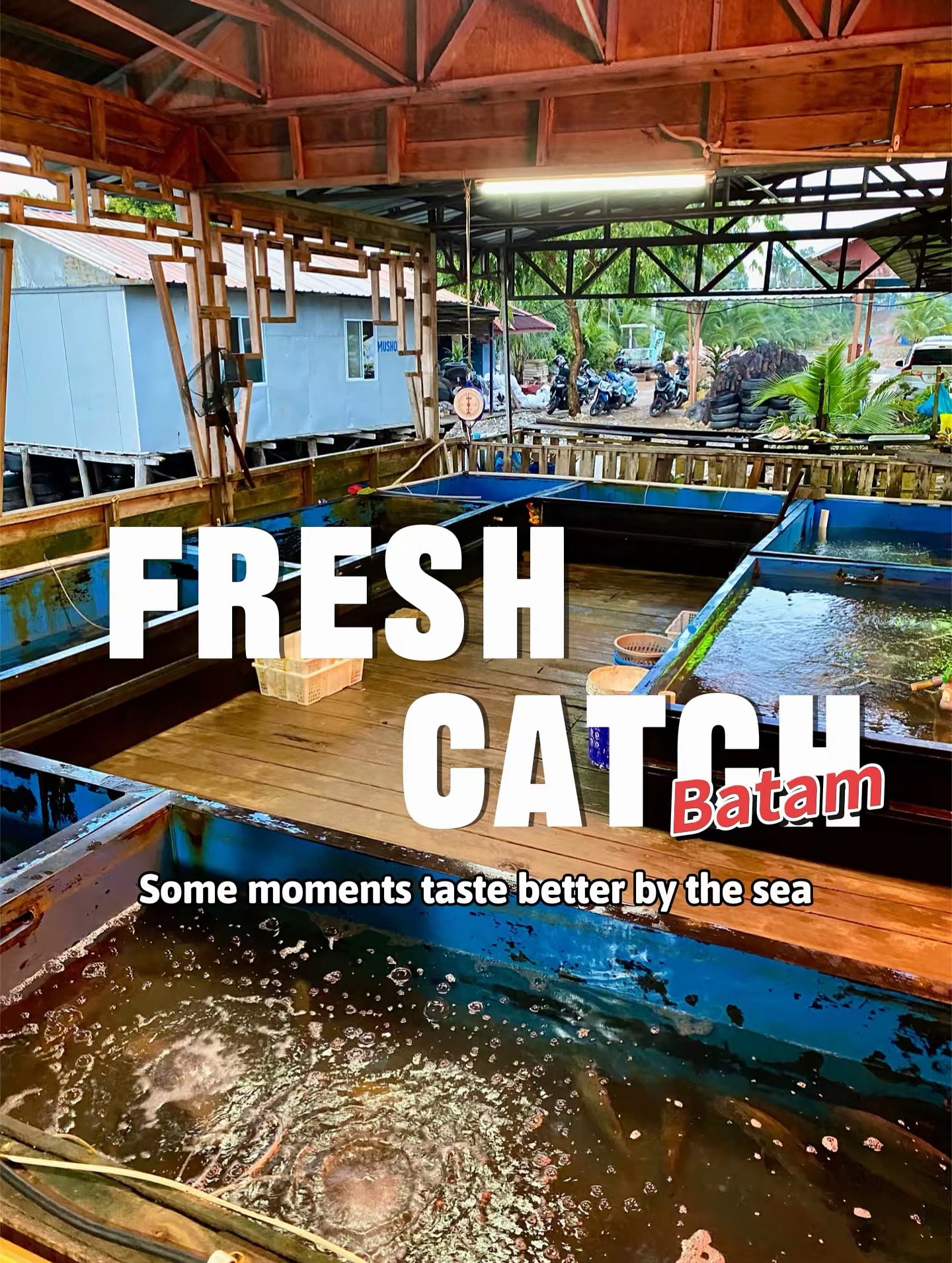 Google's 4.8-star Batam Seafood Kelong… I'm telling you, don't order these dishes. 5