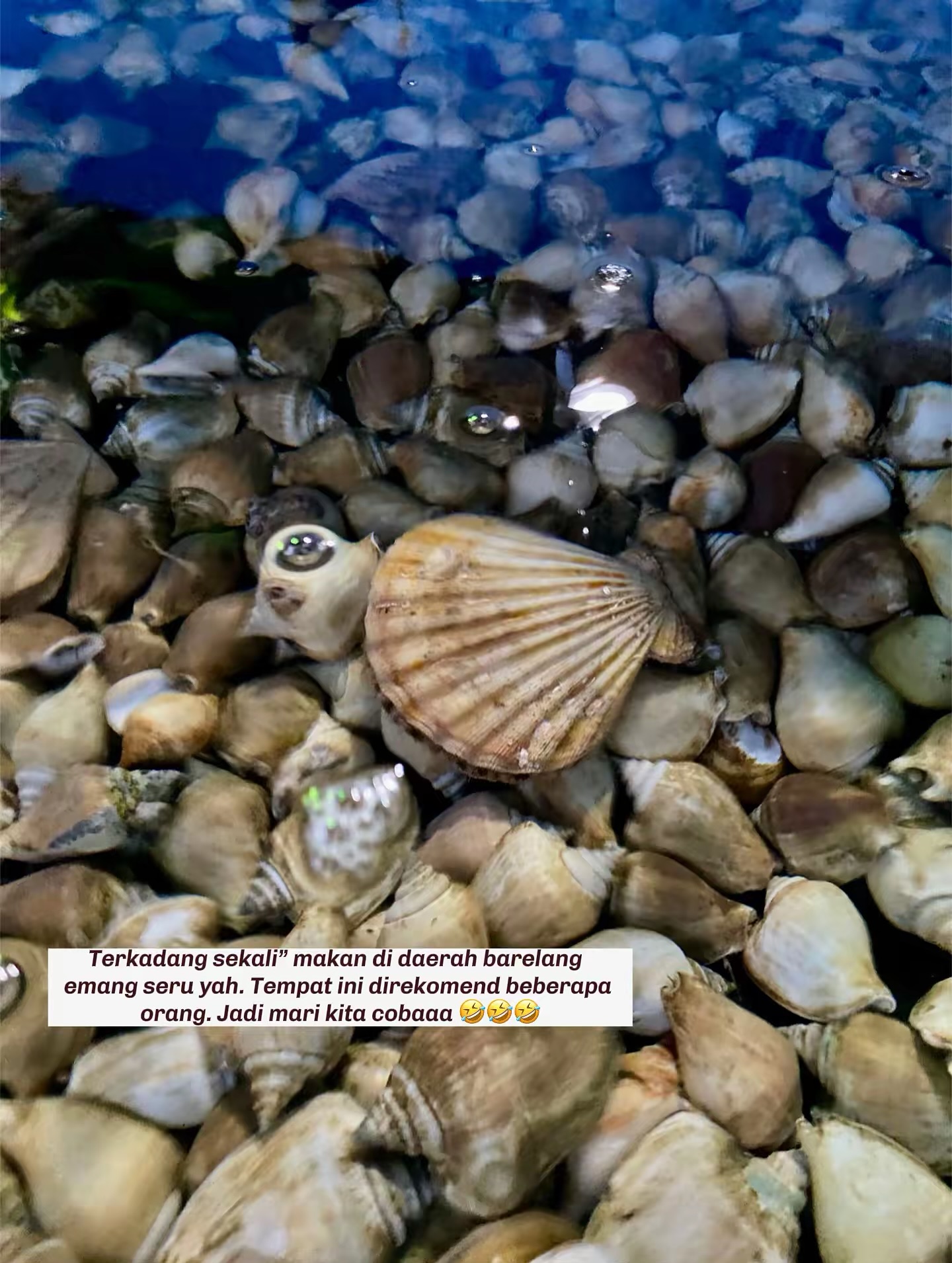 Google's 4.8-star Batam Seafood Kelong… I'm telling you, don't order these dishes.