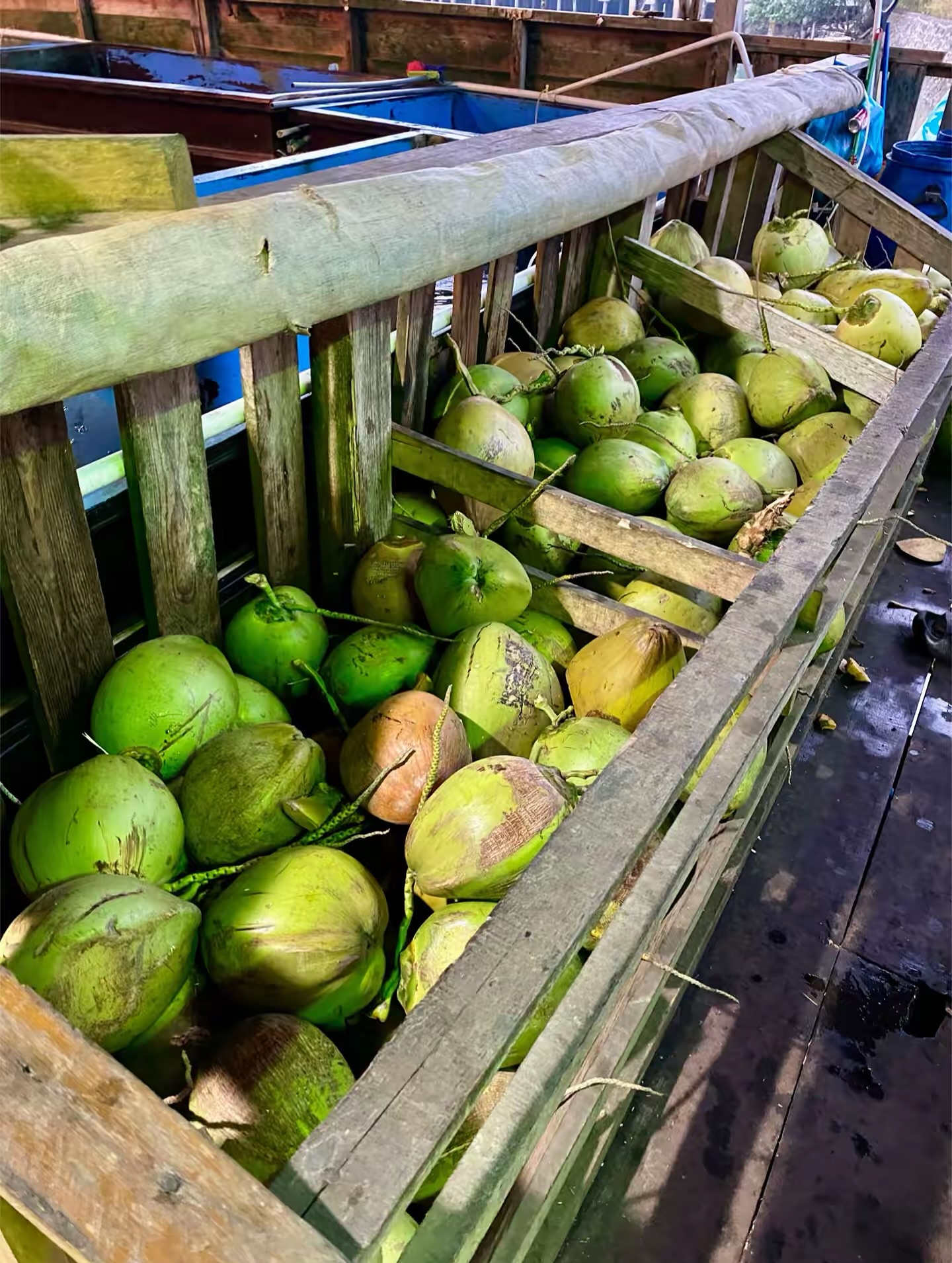 Google's 4.8-star Batam Seafood Kelong… I'm telling you, don't order these dishes. 2