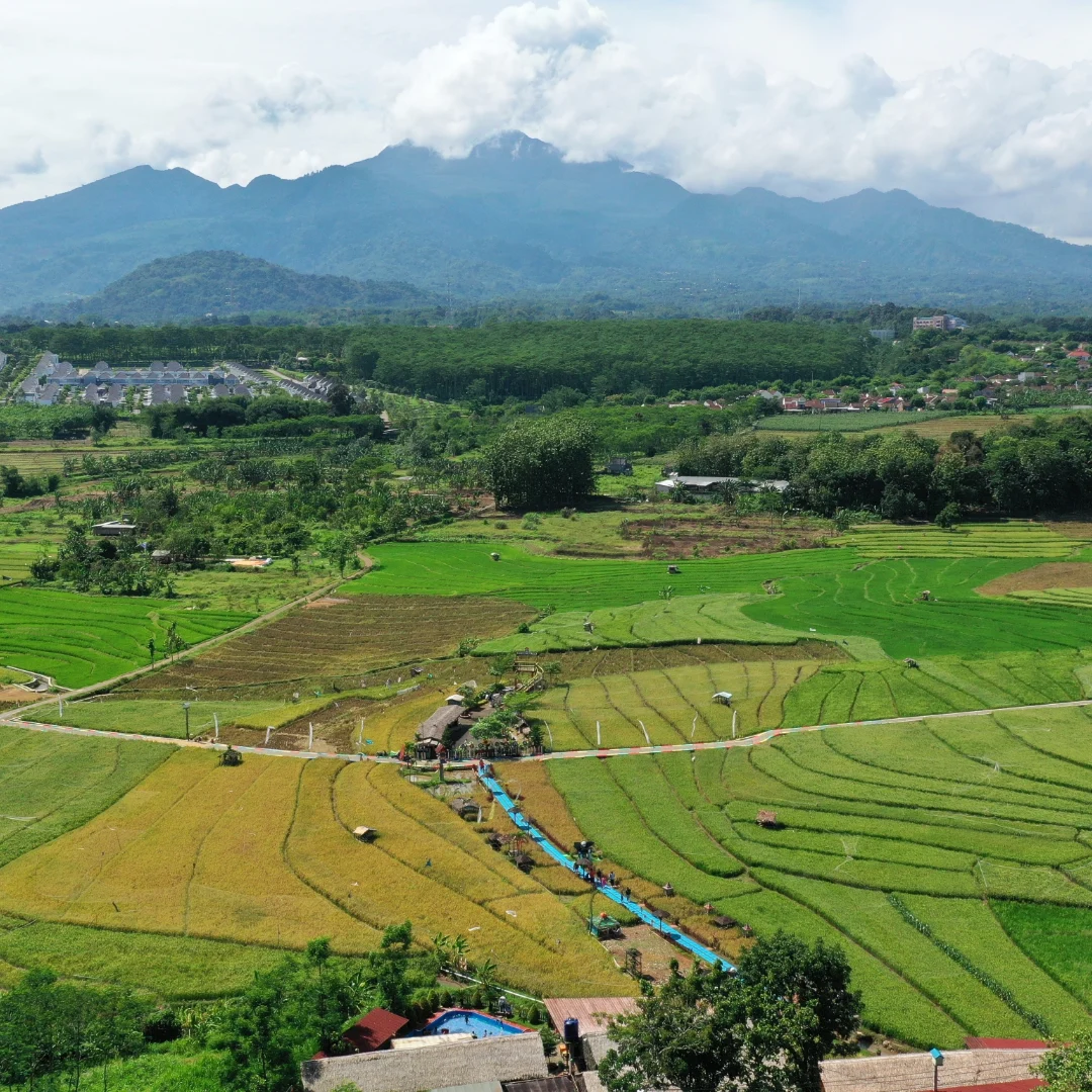 Soto 5rb ada kebun binatangnya? Resto sawah di Semarang ini, sumpah Mantap banget