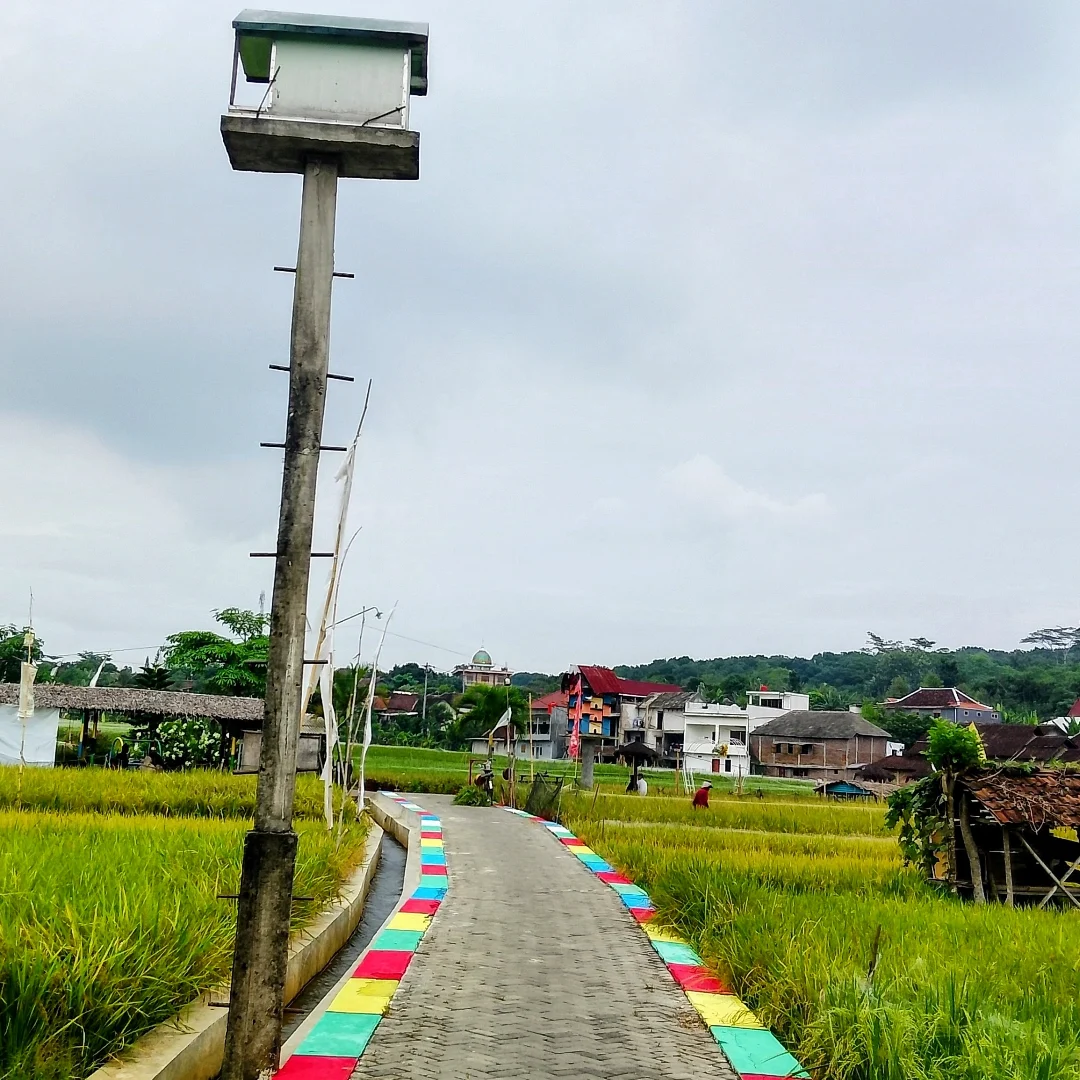 Soto 5rb ada kebun binatangnya? Resto sawah di Semarang ini, sumpah Mantap banget 3