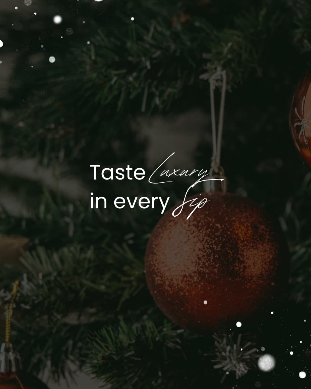 别光看Google 4.8分！雅加达这家泳池Bistro，我劝你看完再冲 3