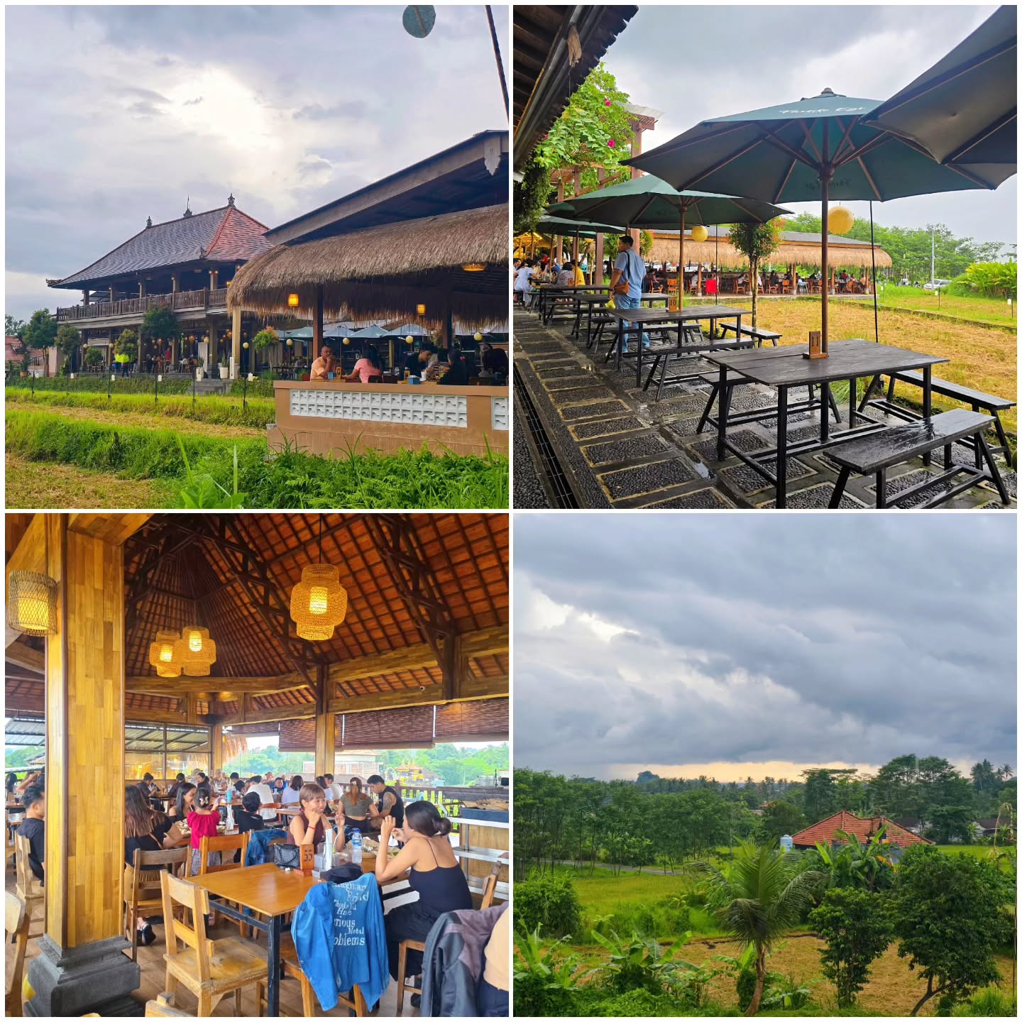 Gak nyampe 3 dollar/orang, aku di sawah Bali nyobain babi guling paling mantap! 3