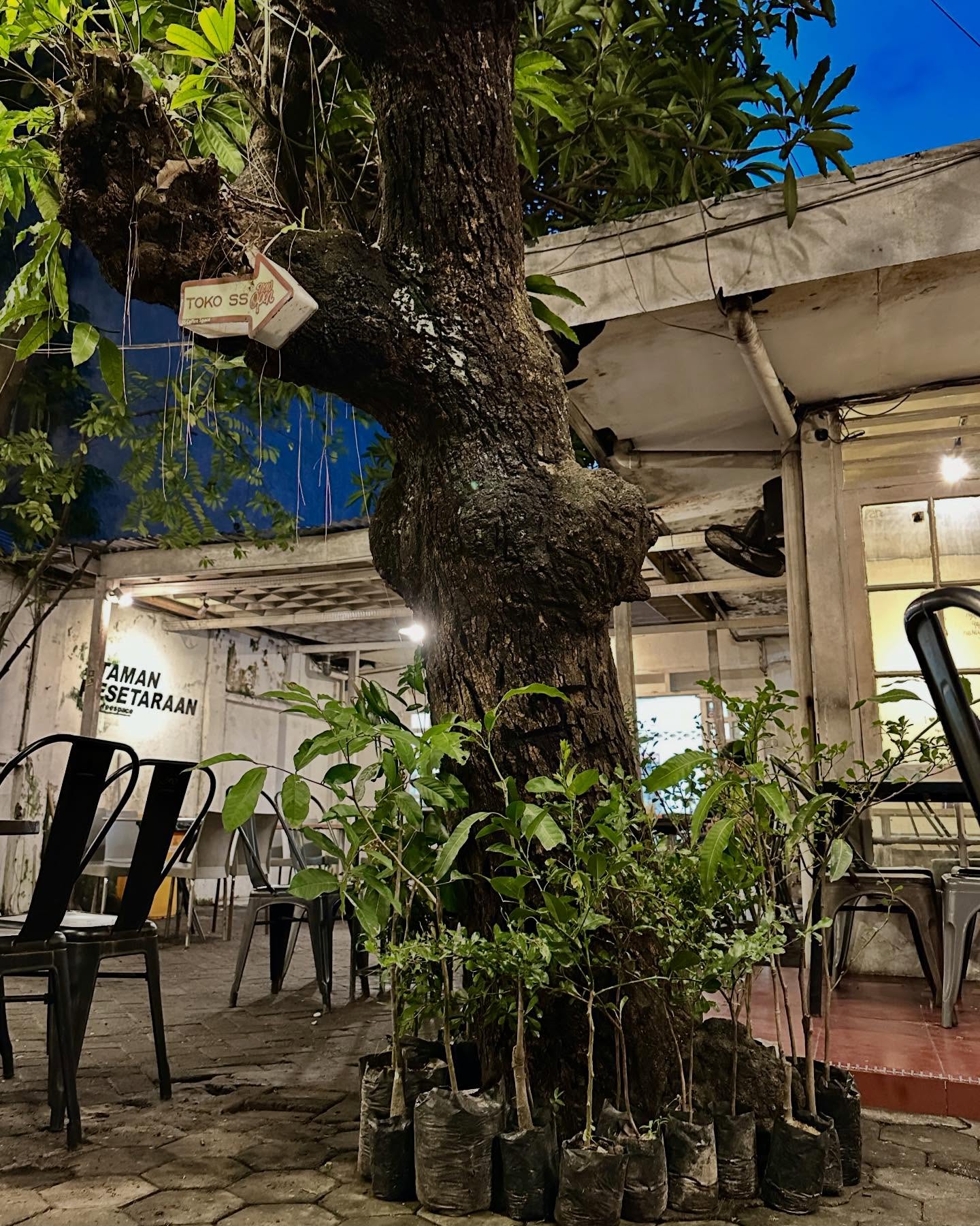 人均18k就能Nongkrong到天亮？望加锡这家店我先替你踩雷了 3