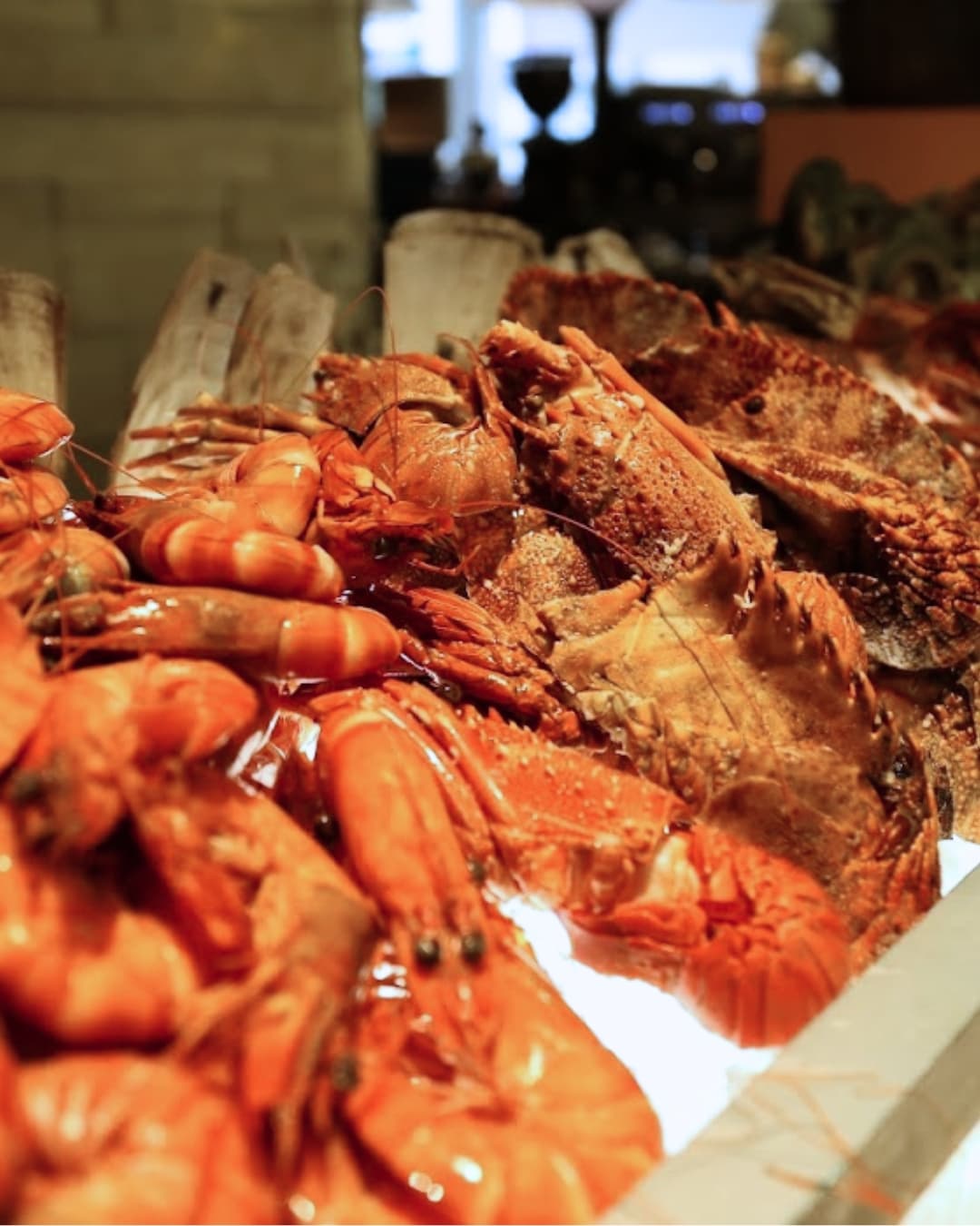 人均80万吃冷饭？雅加达Sana Sini自助，求你别再吹了！ 2