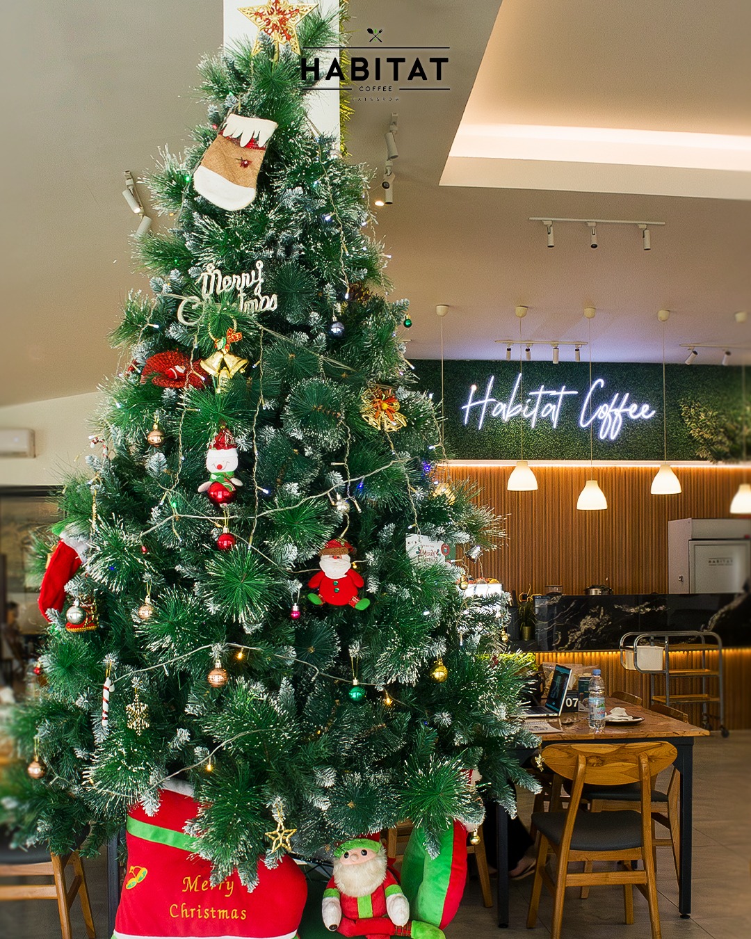 Rating Google 4.6, tapi nunggu makanan sejam? Anjay, resto Medan ini emang Mantap! 😑 2