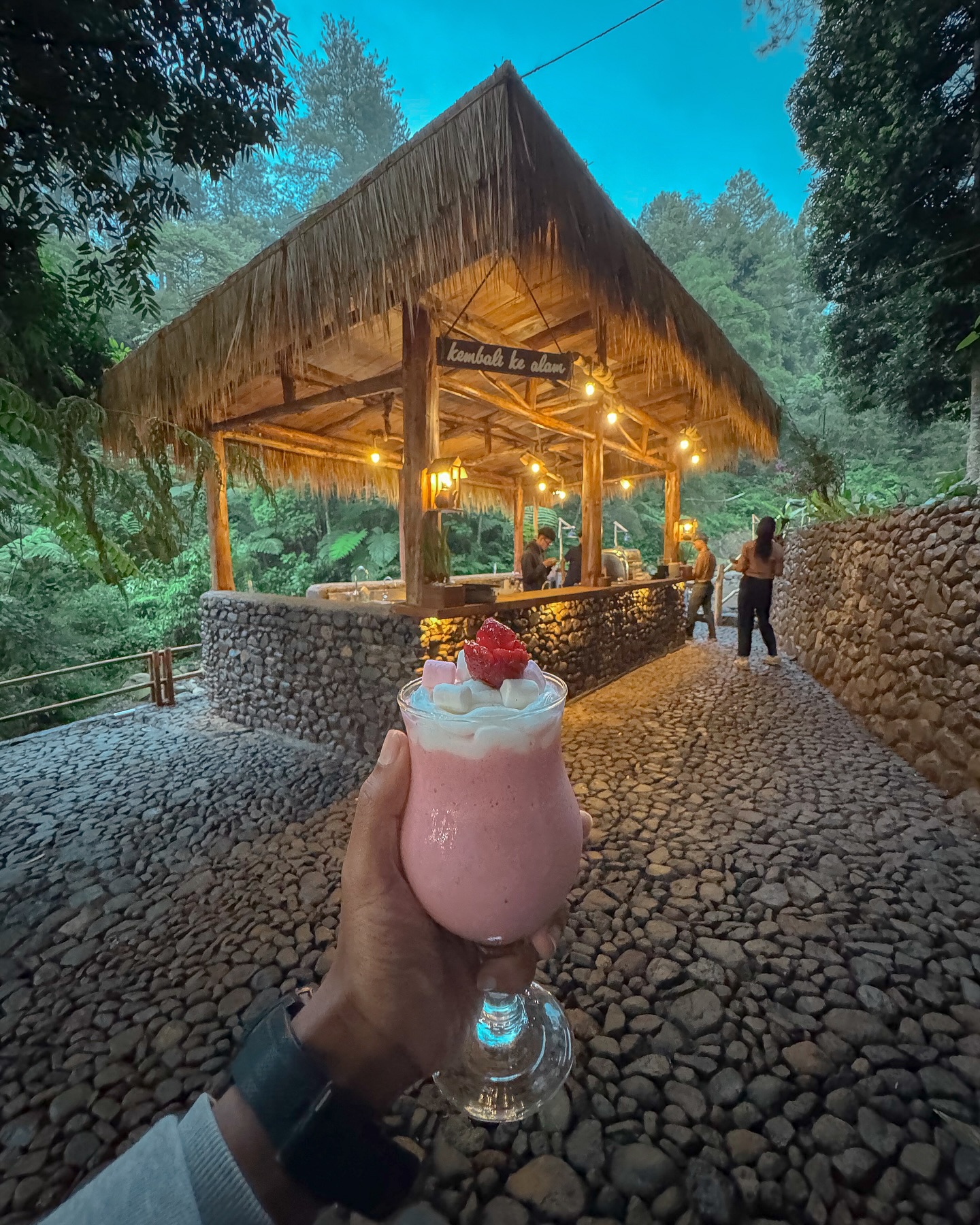 I'd come back 100 times for this pine forest, but I'll pass on the fried rice… 2