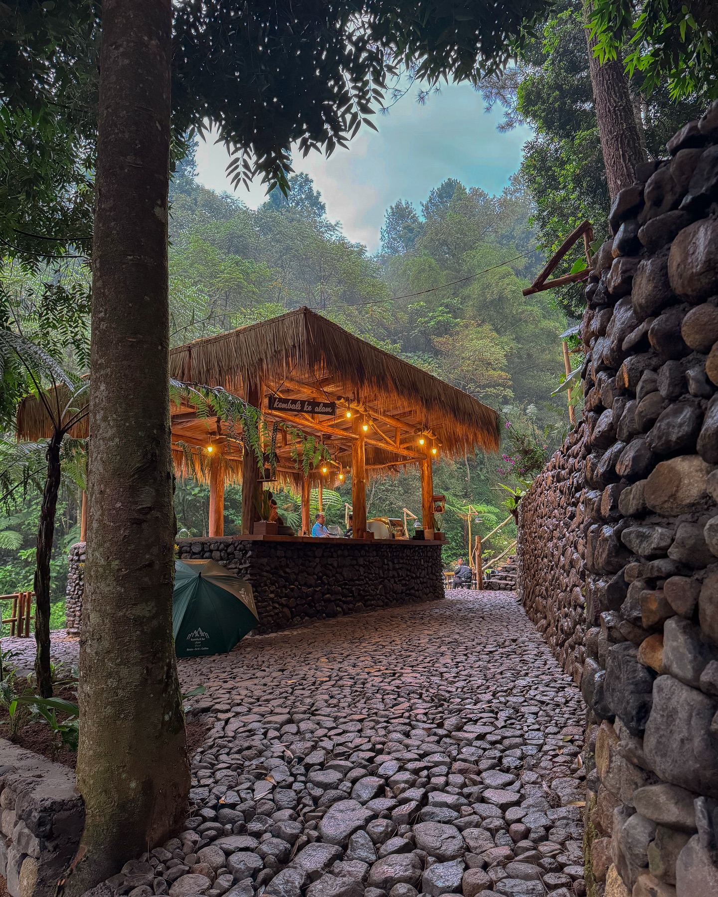 I'd come back 100 times for this pine forest, but I'll pass on the fried rice… 3