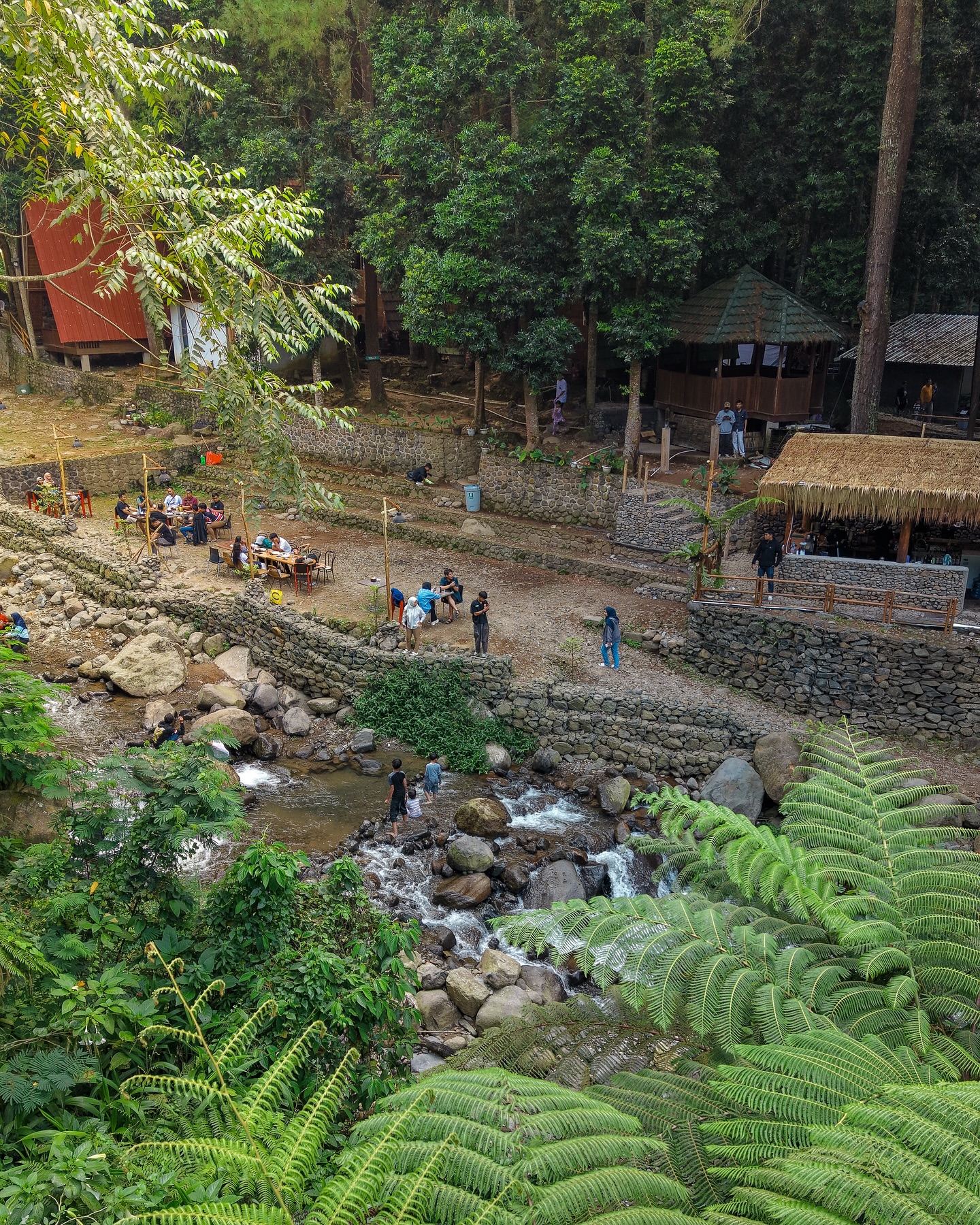 I'd come back 100 times for this pine forest, but I'll pass on the fried rice… 4