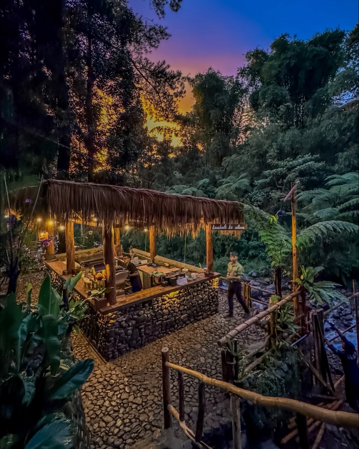 I'd come back 100 times for this pine forest, but I'll pass on the fried rice… 5