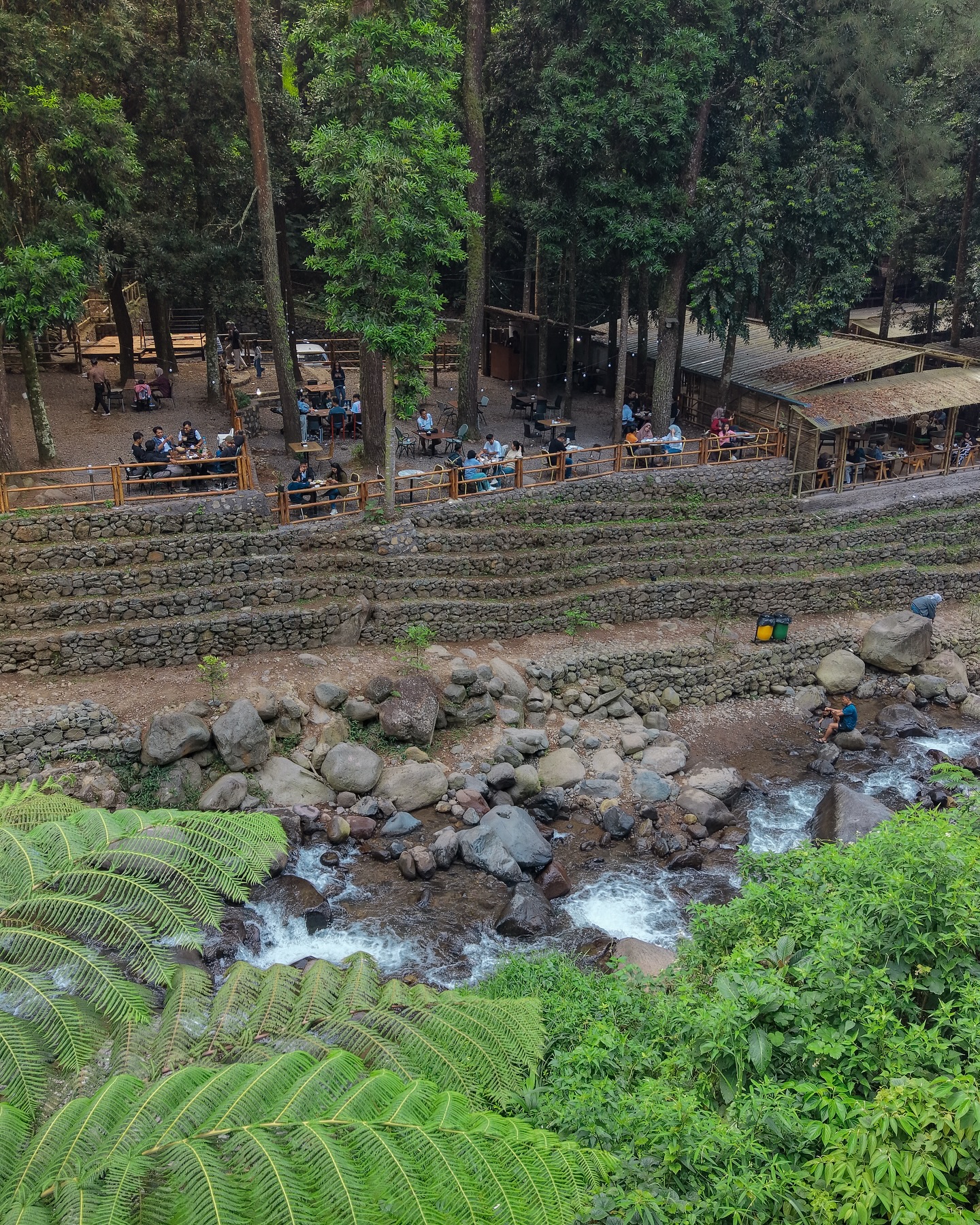 I'd come back 100 times for this pine forest, but I'll pass on the fried rice… 6