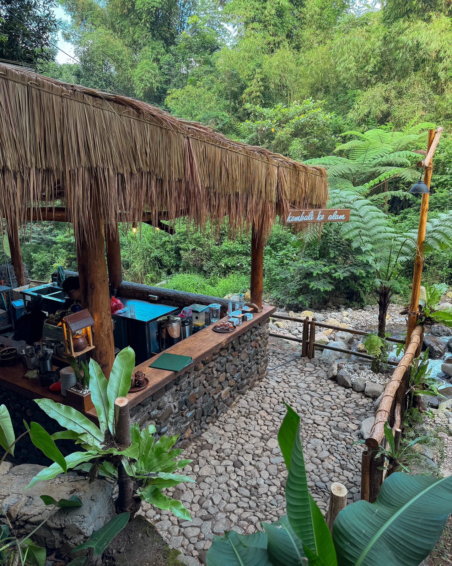 I'd come back 100 times for this pine forest, but I'll pass on the fried rice… 7