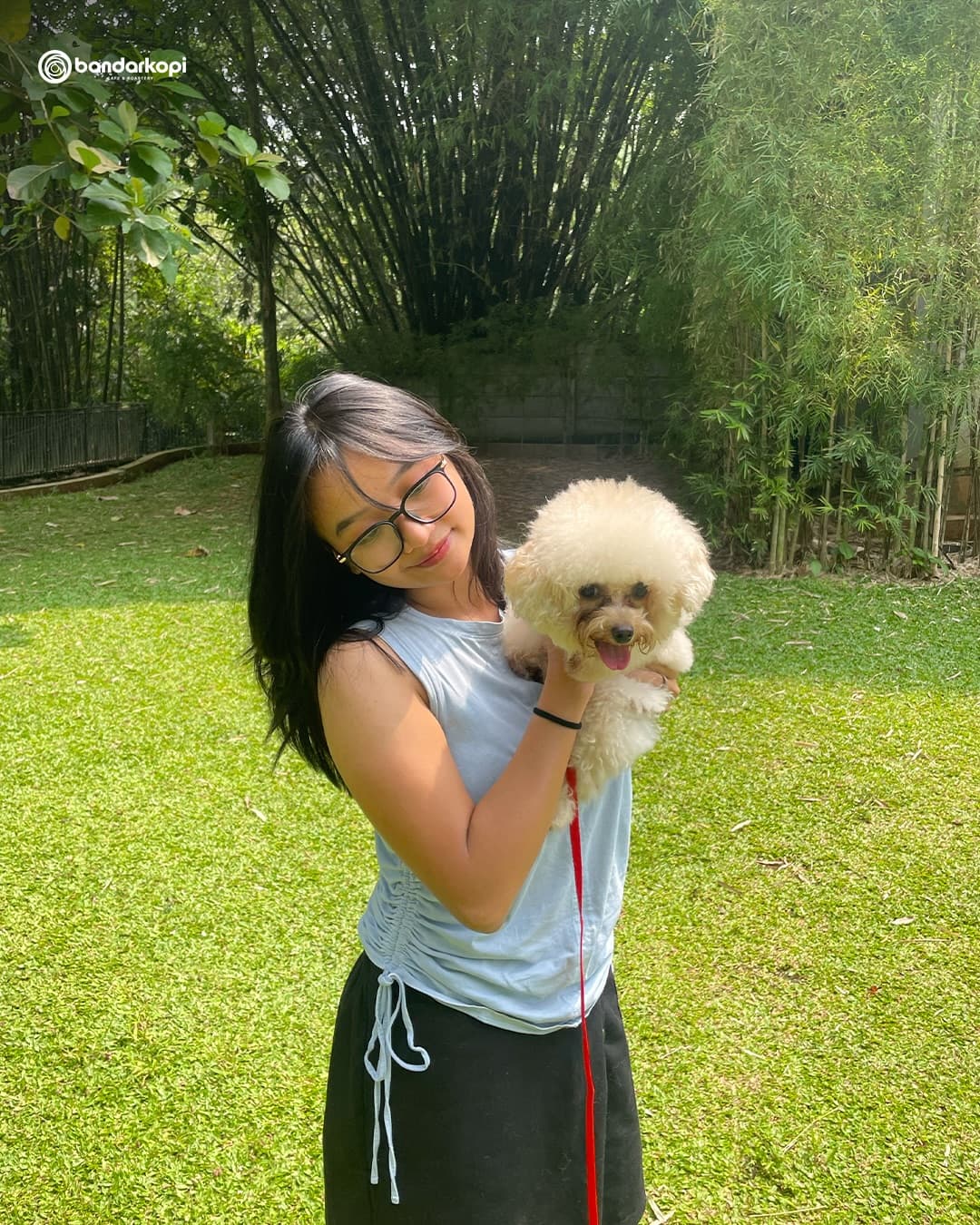 Worth the 1-hour food wait to feed deer on this massive lawn