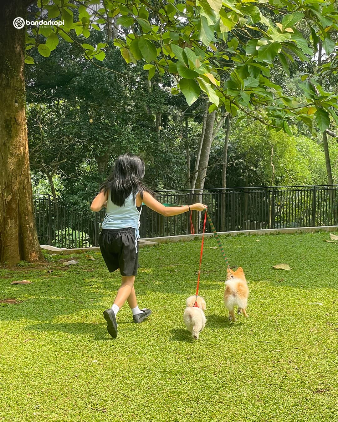 Worth the 1-hour food wait to feed deer on this massive lawn 2