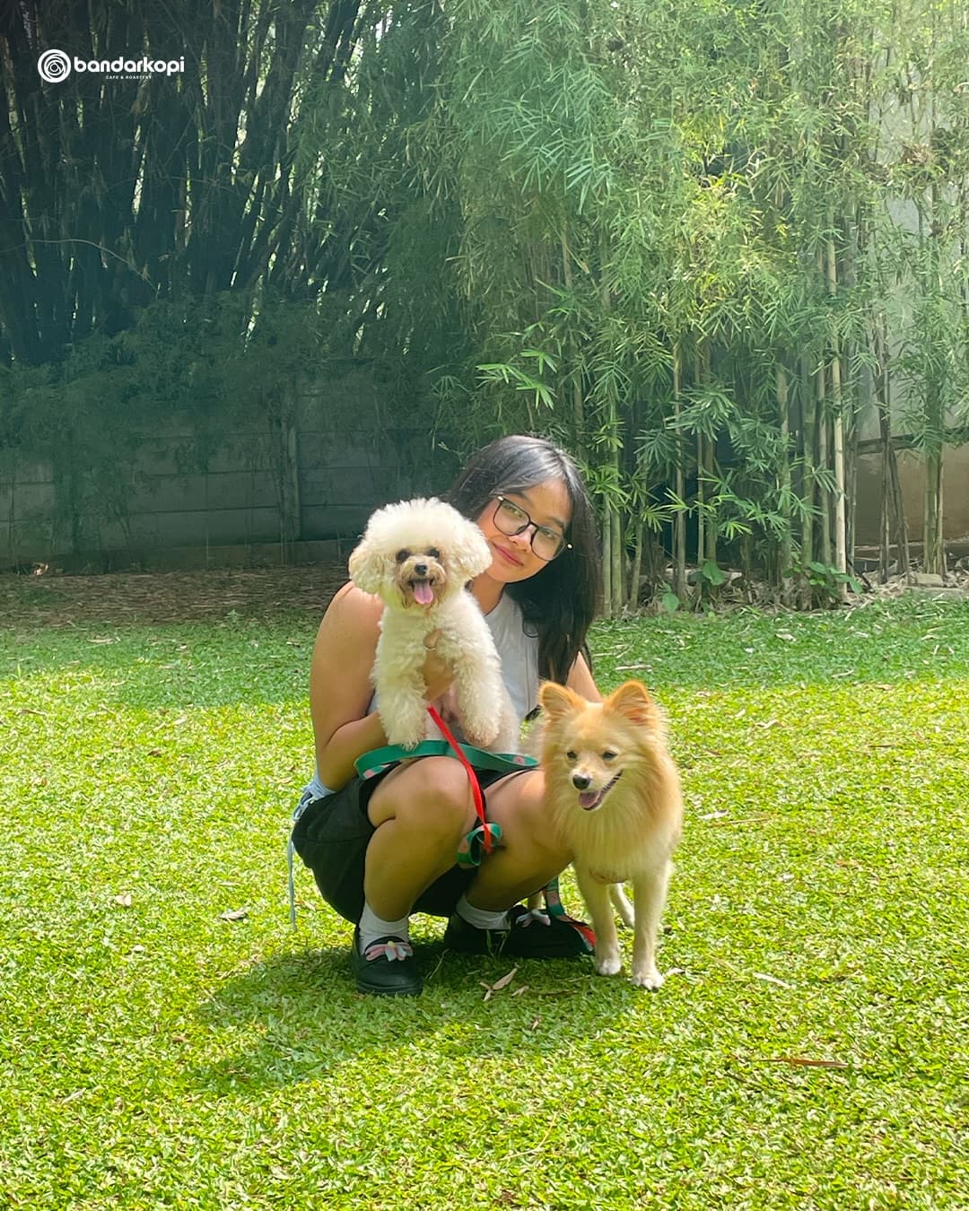 Worth the 1-hour food wait to feed deer on this massive lawn 3