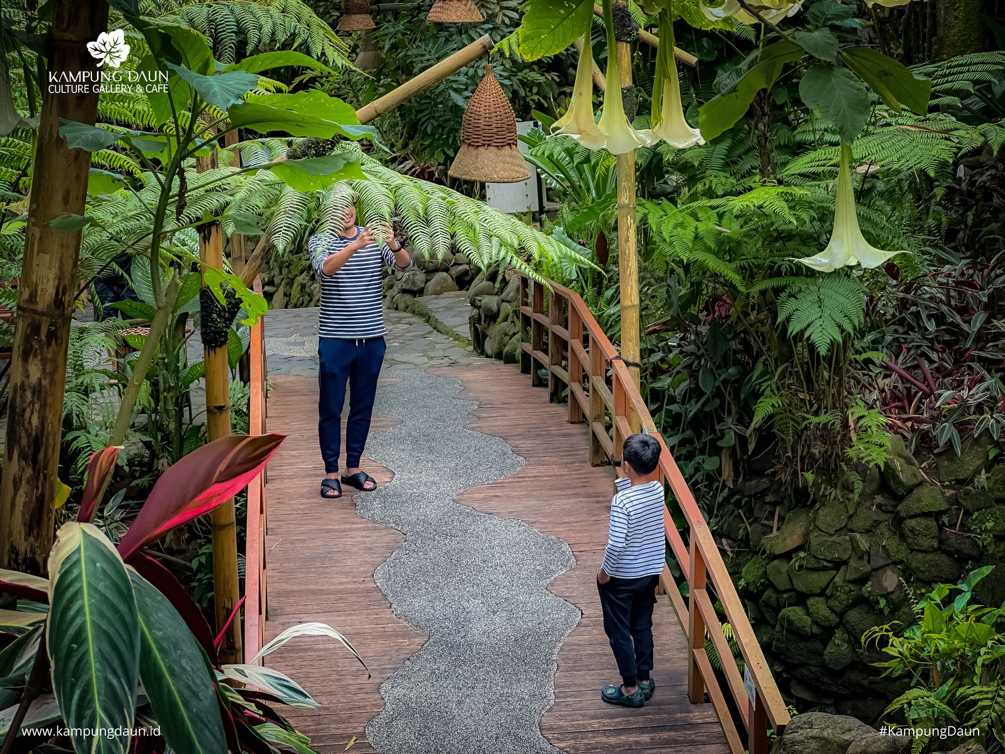 万隆不只有火山！我钻进森林，在瀑布边吃了顿饭 3