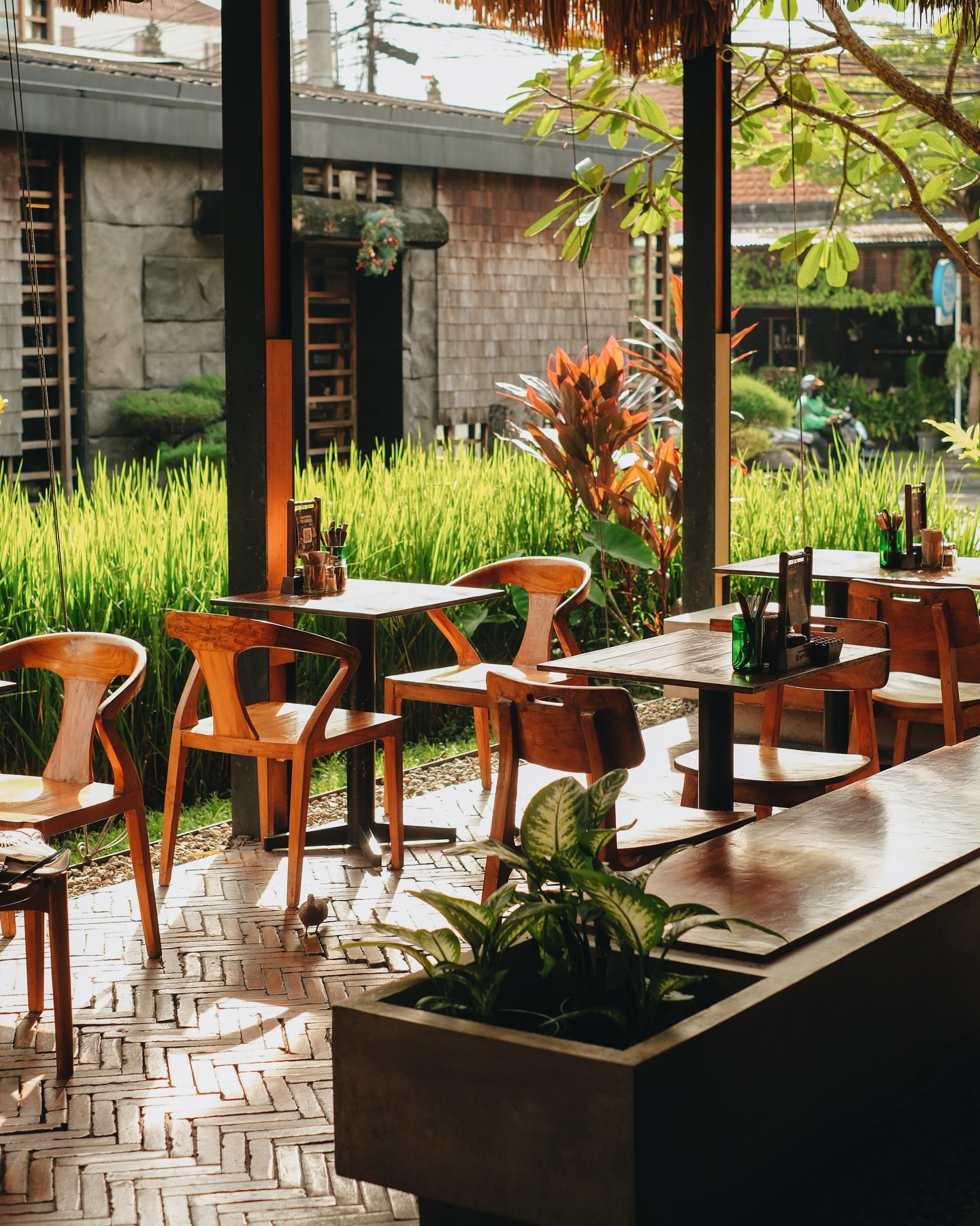 Pison: God-tier coffee, but the service is really Anjay... Is it worth the rush?