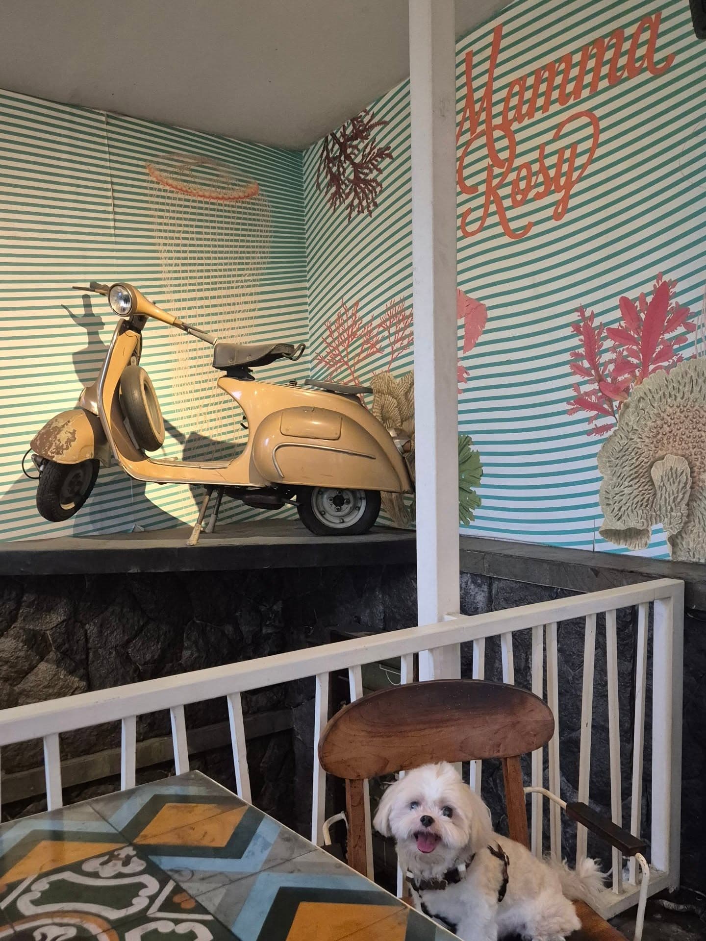 They say Mamma Rosy is the most authentic Italian in Jakarta. I tried it, and I have something to say... 2