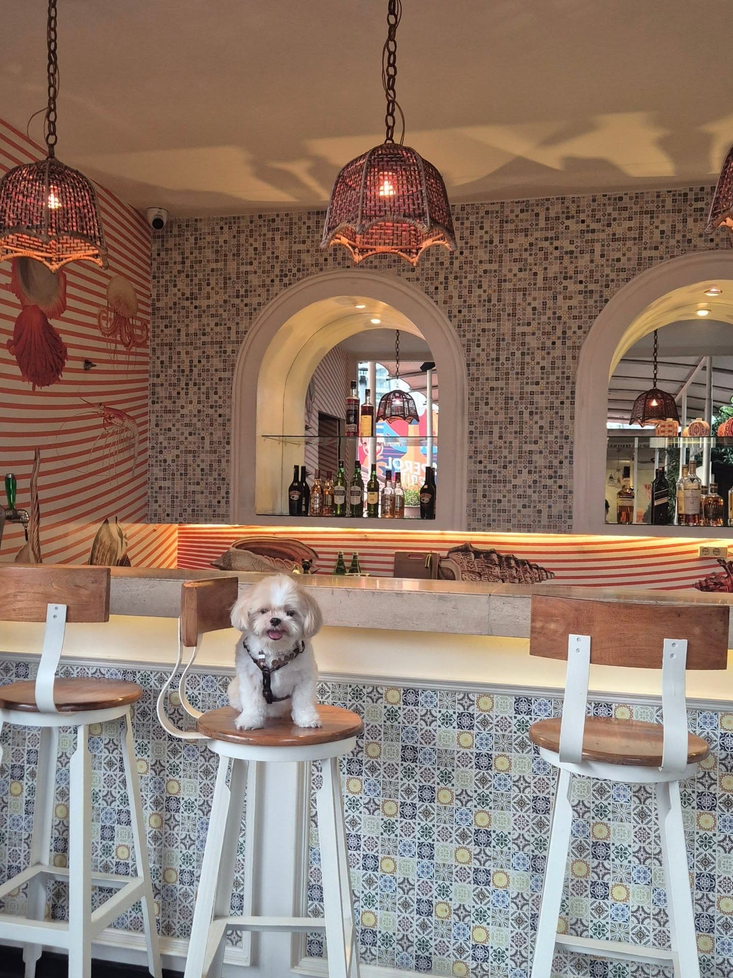 They say Mamma Rosy is the most authentic Italian in Jakarta. I tried it, and I have something to say... 3