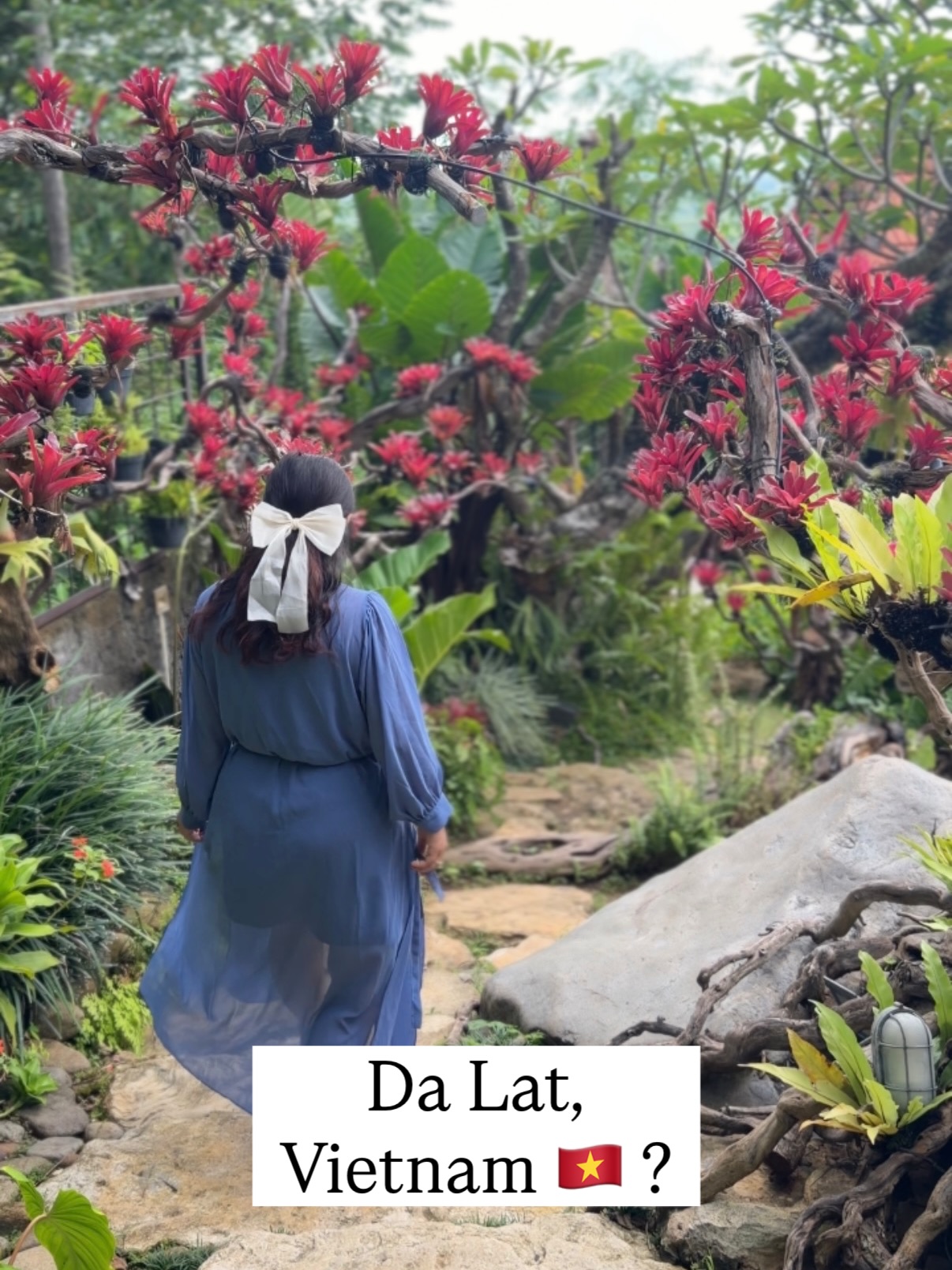 为了这片景，我原谅了它不稳定的菜品…中爪哇这家悬崖餐厅太卷了！ 4