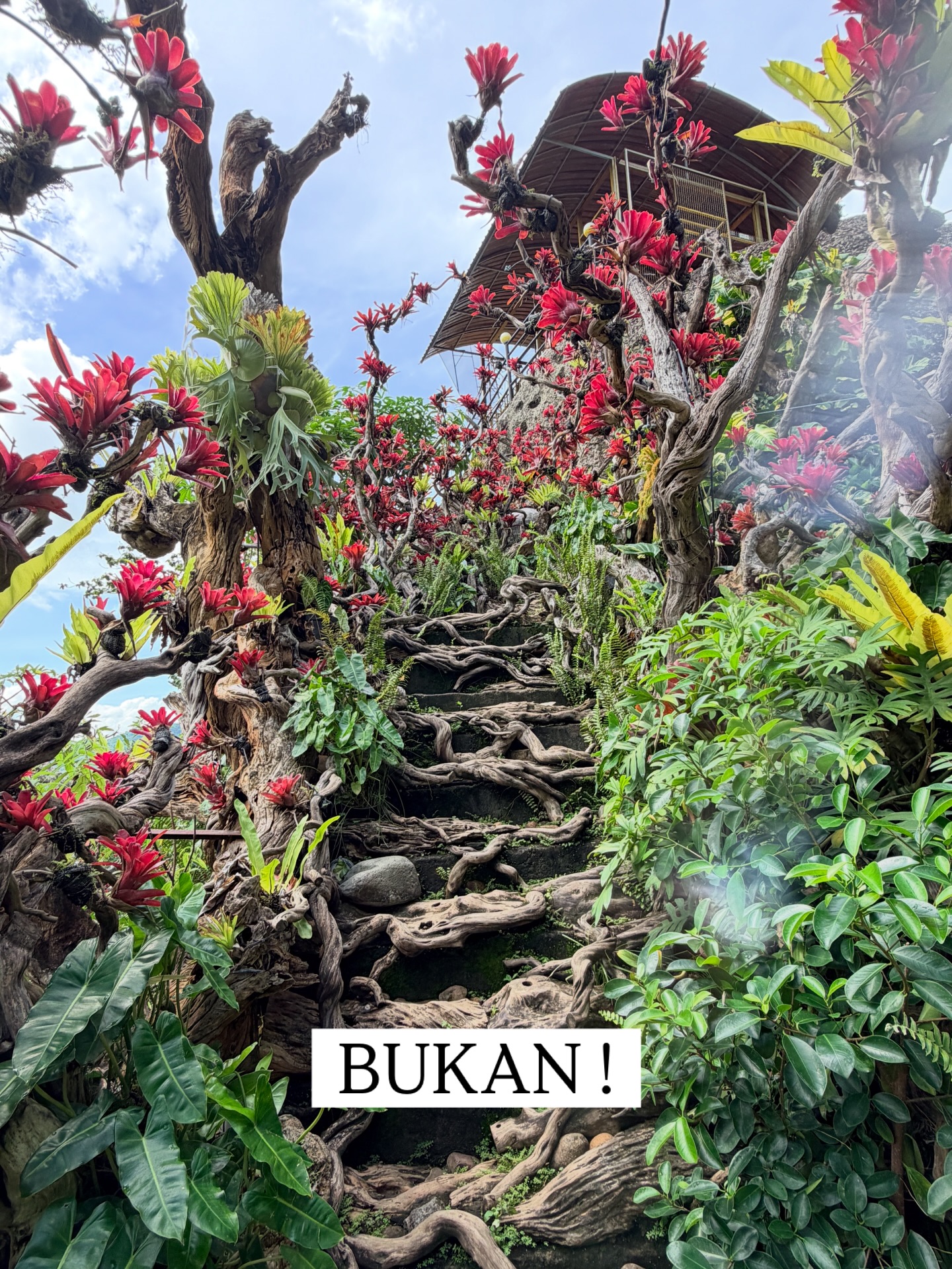 为了这片景，我原谅了它不稳定的菜品…中爪哇这家悬崖餐厅太卷了！