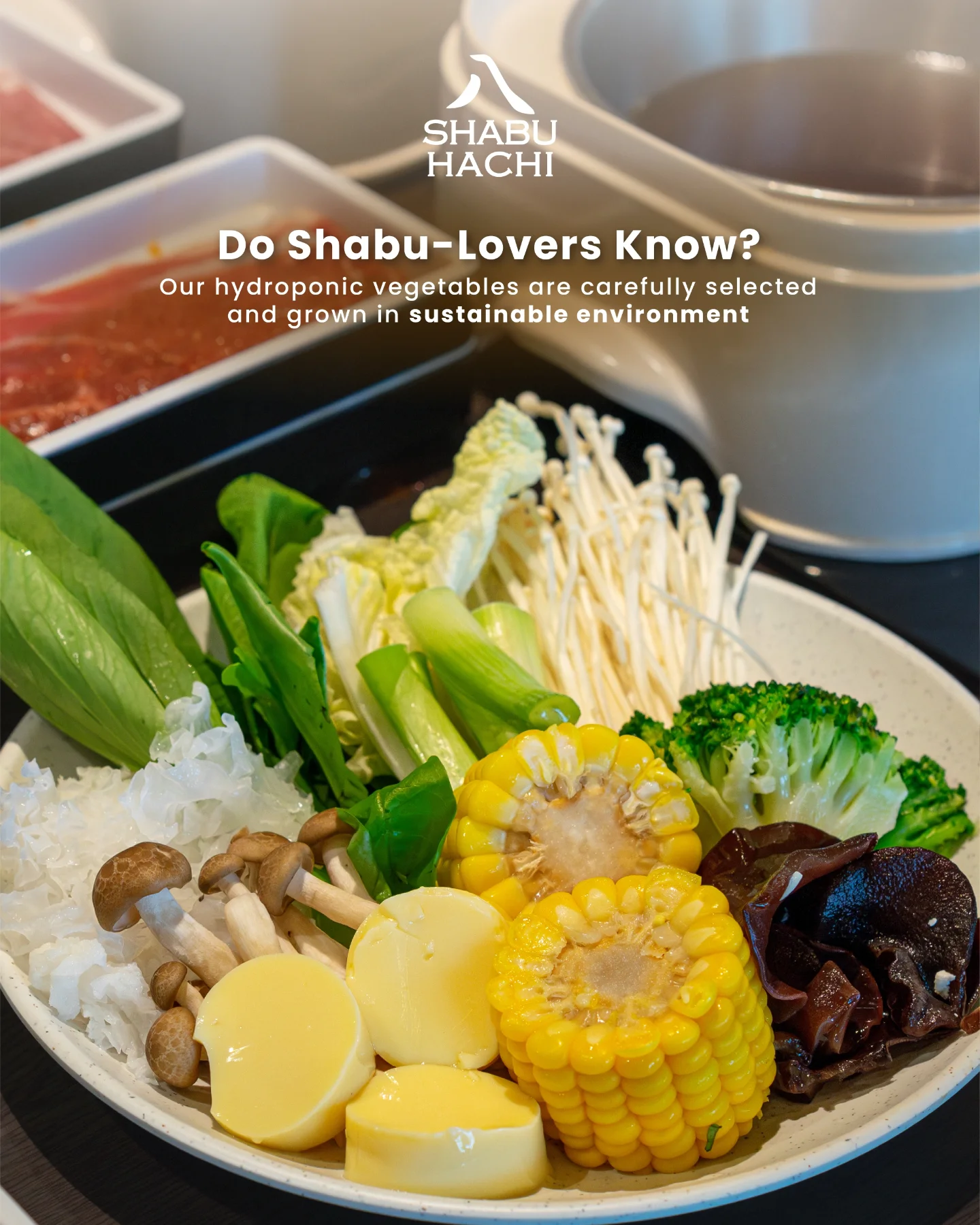 Google 5.0满分神店？Shabu Hachi，我劝你别太神化！ 4