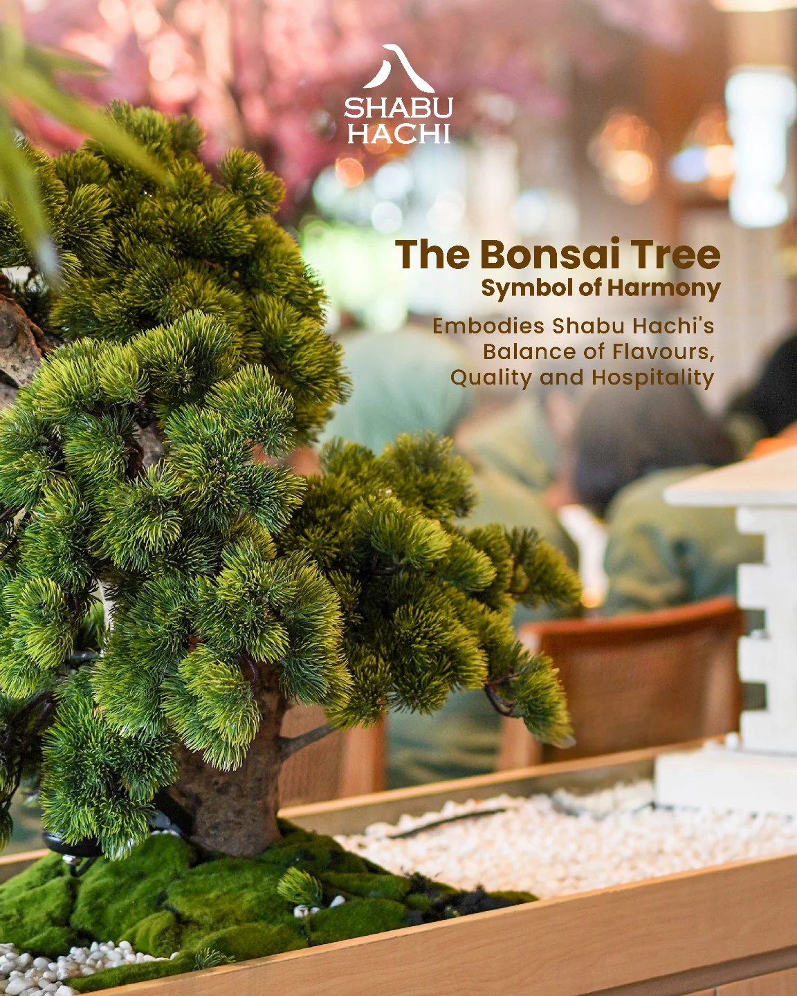 Google 5.0满分神店？Shabu Hachi，我劝你别太神化！ 6