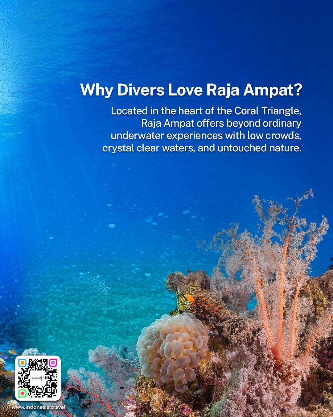 环境满分，食物开盲盒？这家烤肋骨我真的又爱又恨！ 2