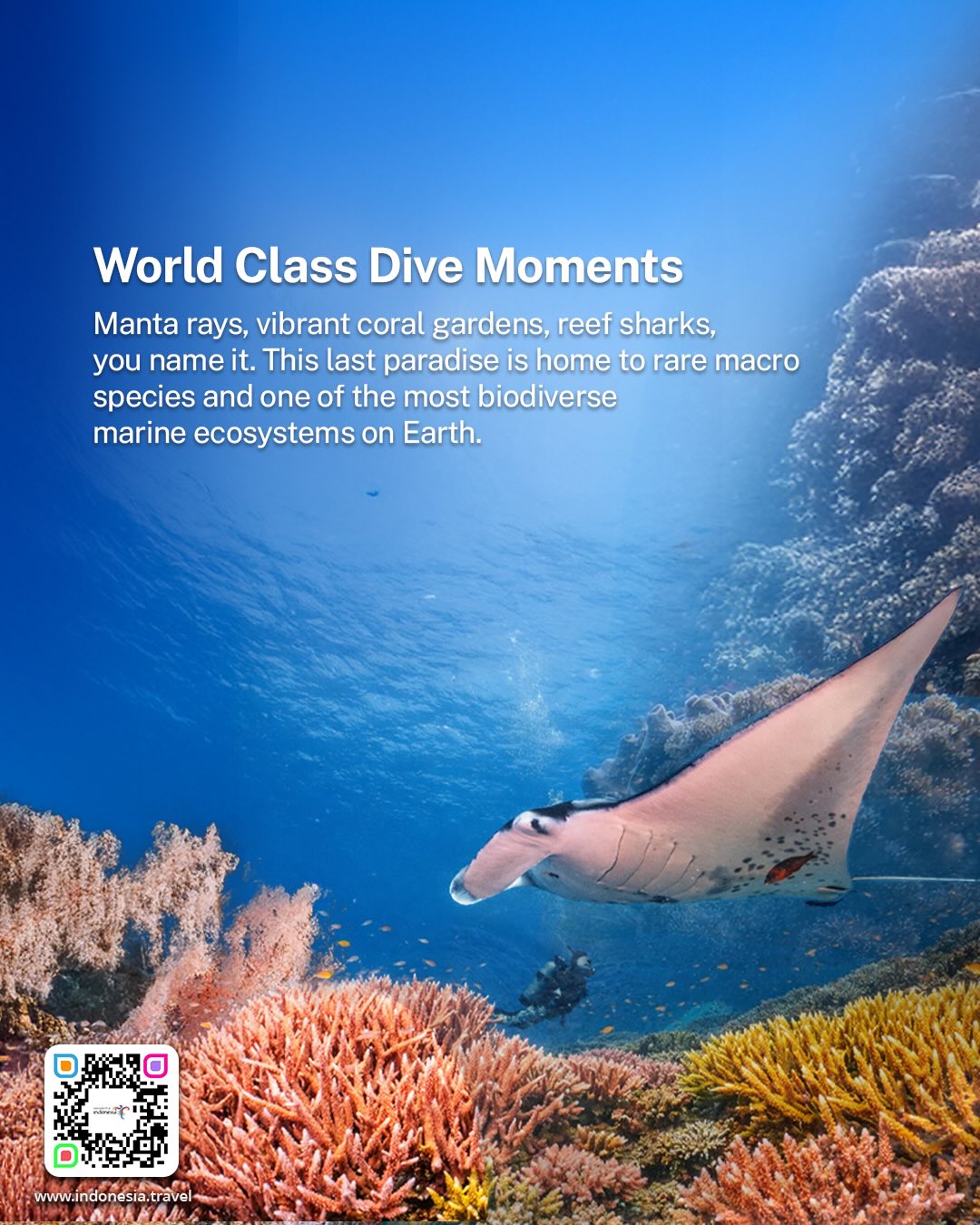 环境满分，食物开盲盒？这家烤肋骨我真的又爱又恨！ 3