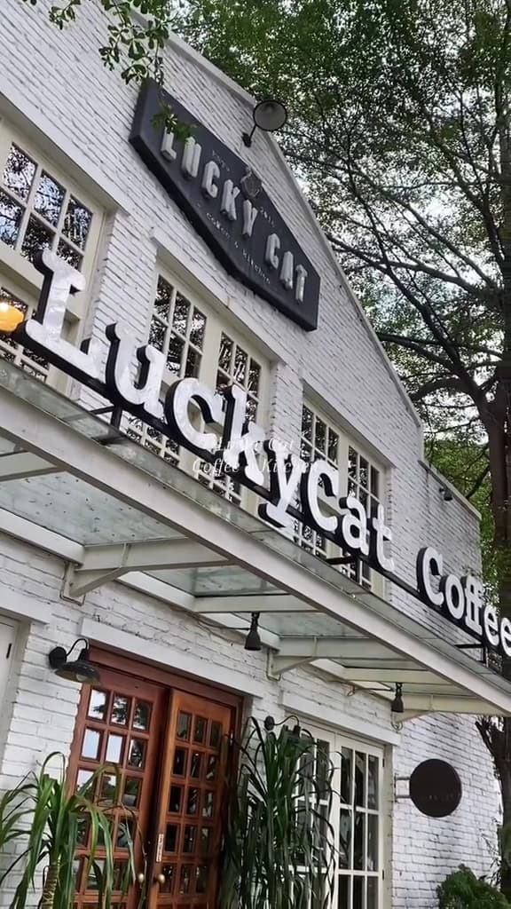 Lucky Cat Coffee & Kitchen 1
