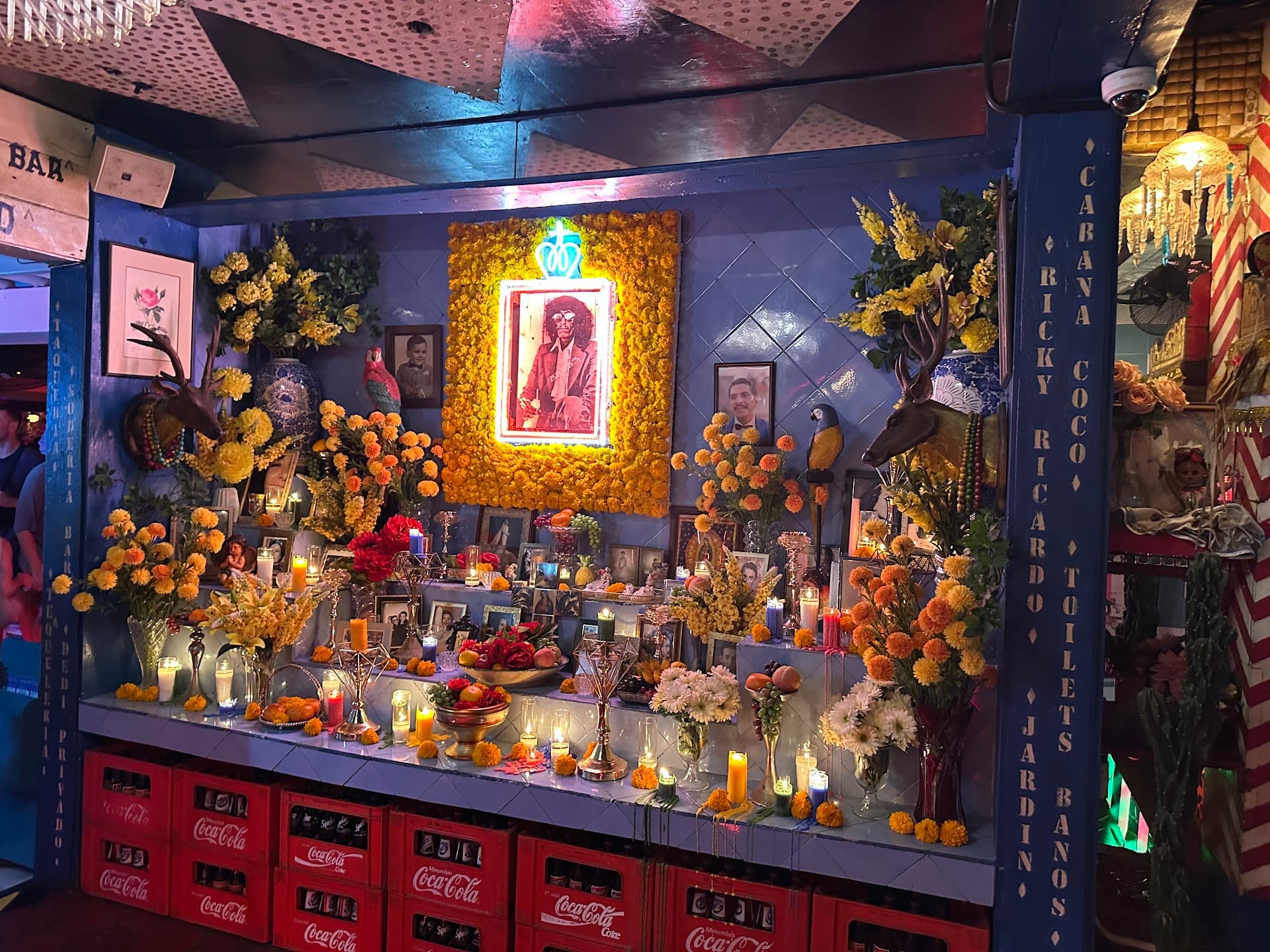 Wajib tahu sebelum nongkrong di Motel Mexicola! Datang lewat jam 9:30, siap-siap dompet & lutut jebol 6