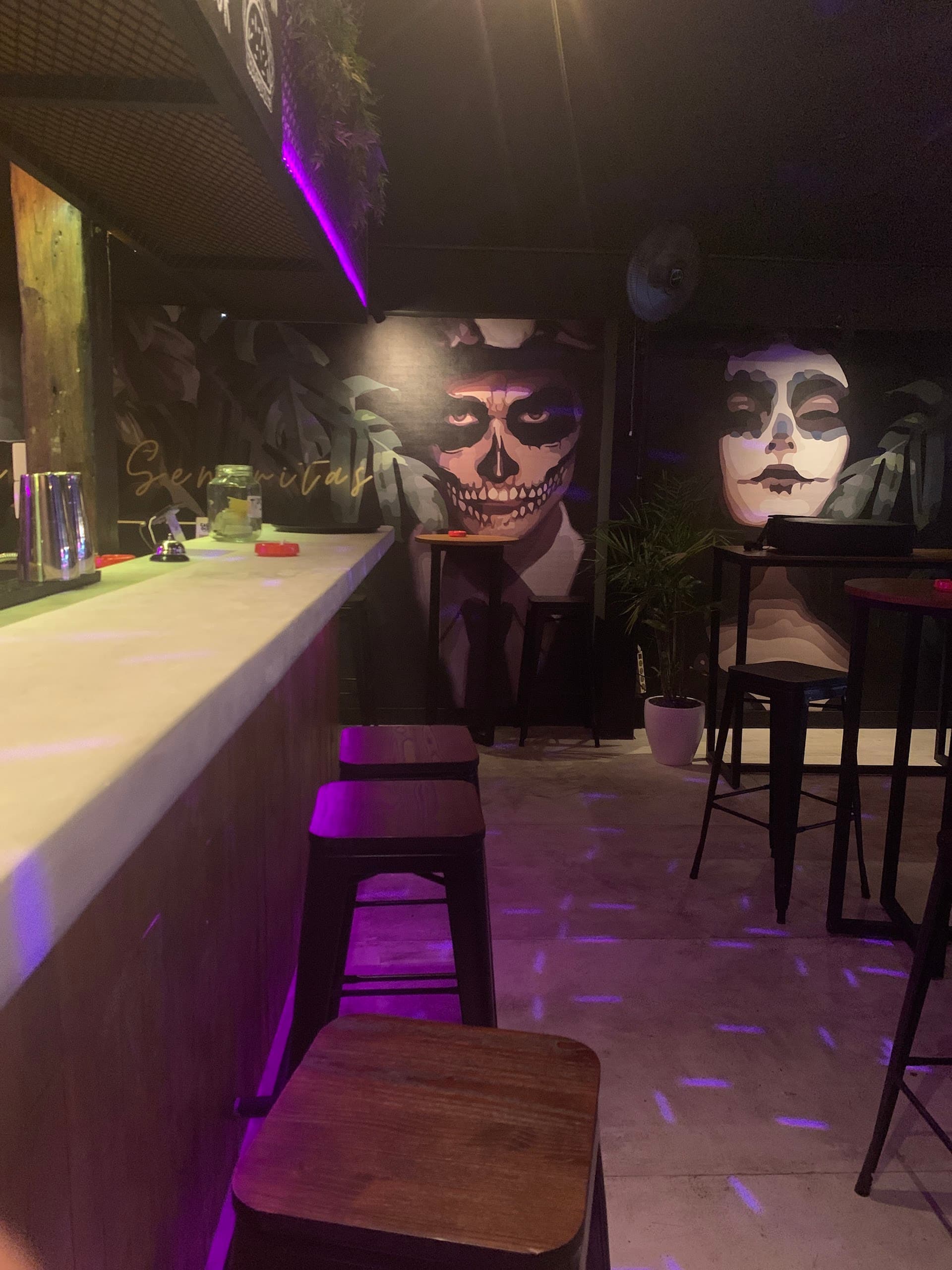 Calle Ocho Bali - Shot Bar & Tacos 5