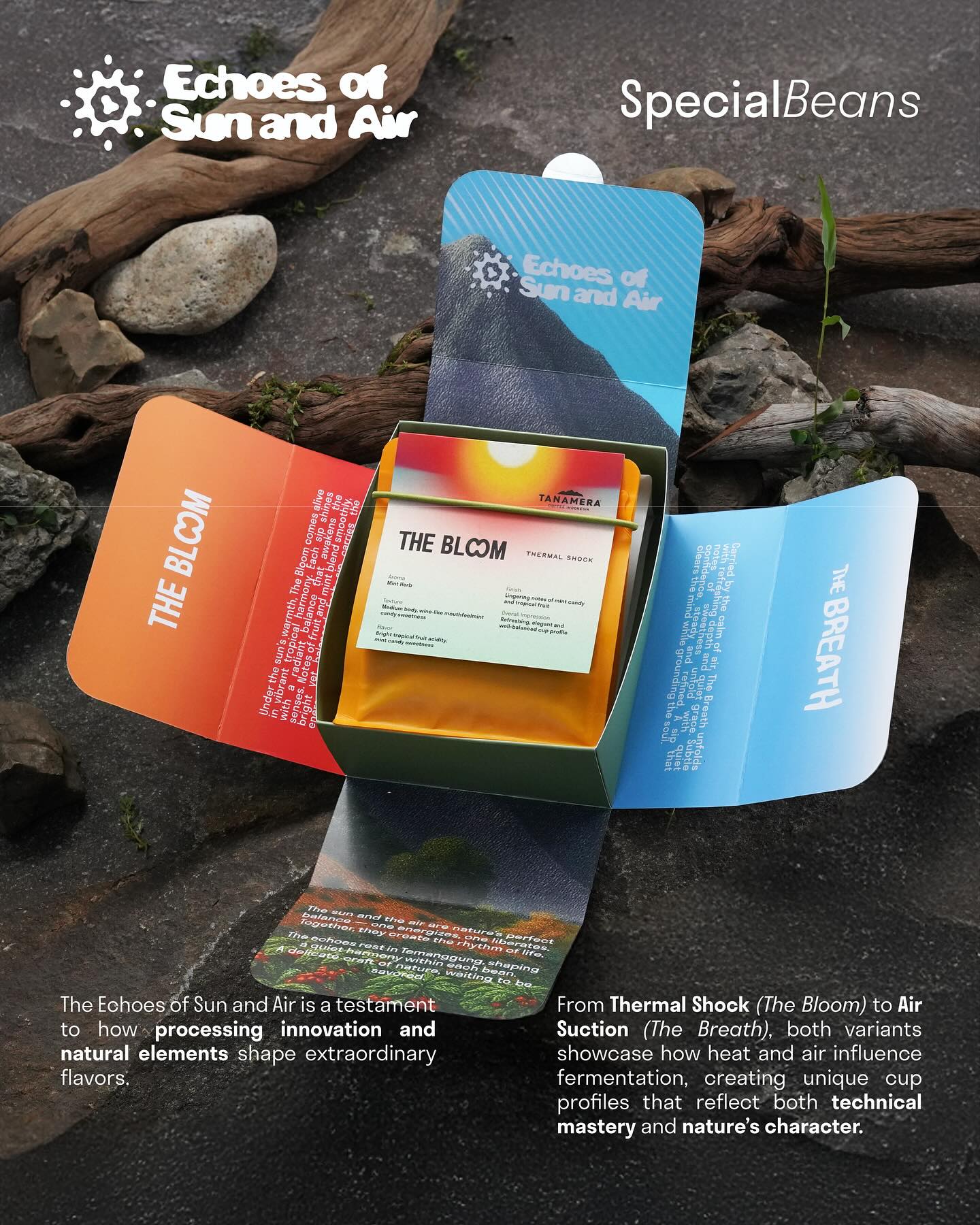 咖啡封神,但服务和环境劝退?Tanamera 到底值不值得去? 3