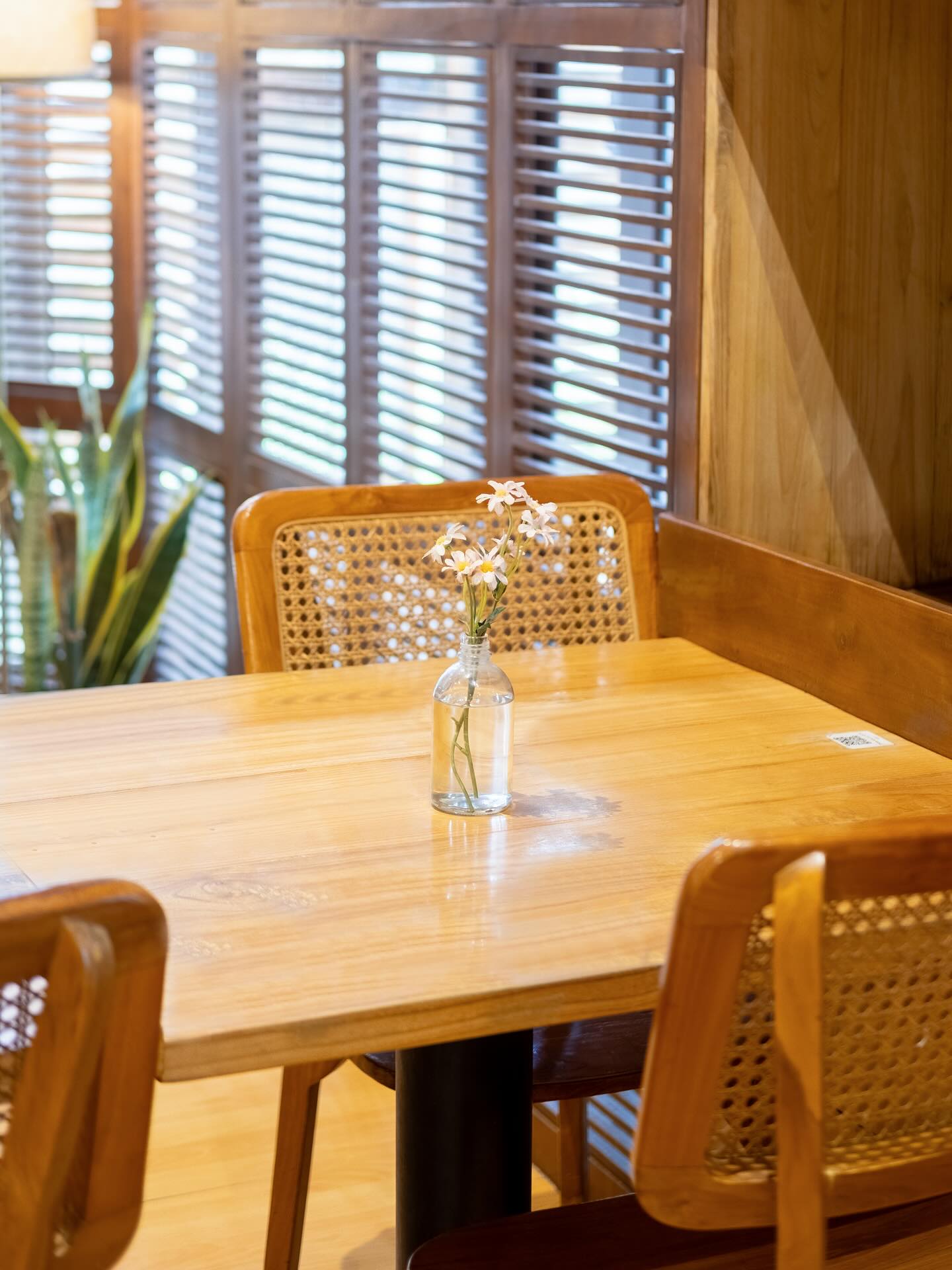 Can a 4.9-star Google rating be a trap? I've already checked out this heavenly garden in Lampung for you. 5