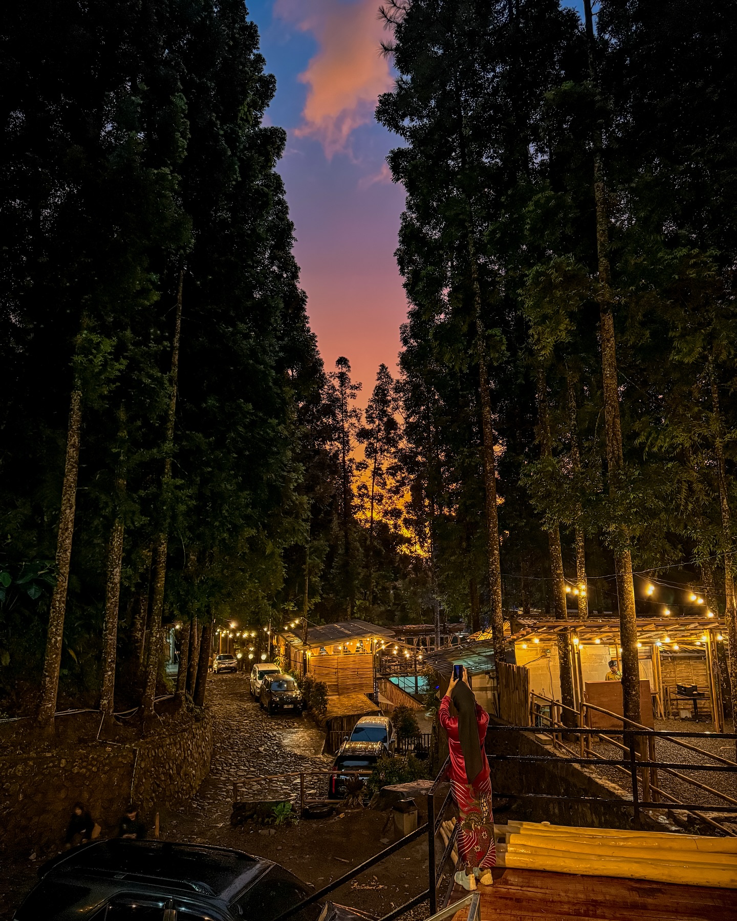 Demi hutan pinusnya yang mantap, rela balik 100 kali, tapi nasi gorengnya skip aja deh…