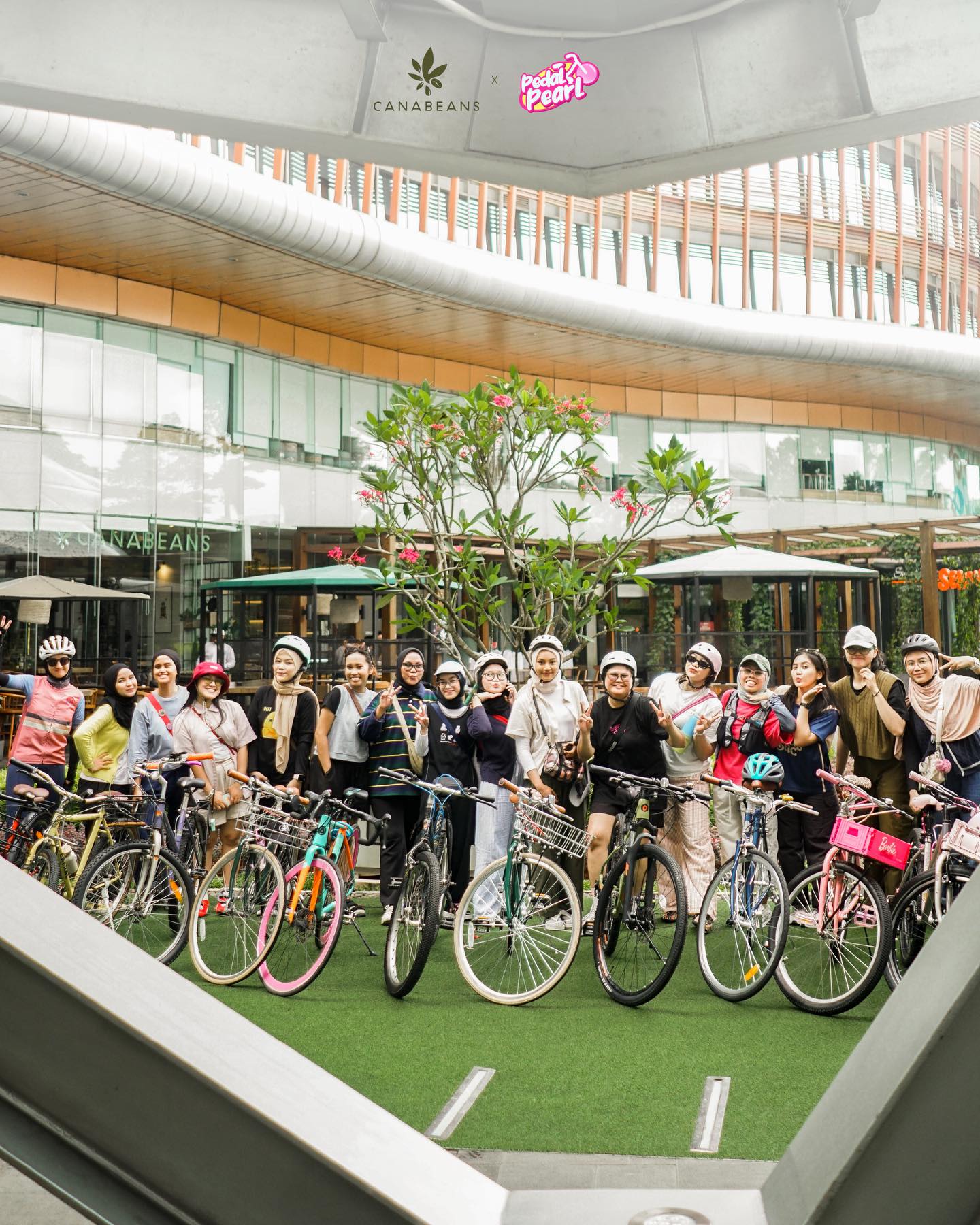 炸芋头条Mantap!但想来Canabeans办公?先看完这篇 2