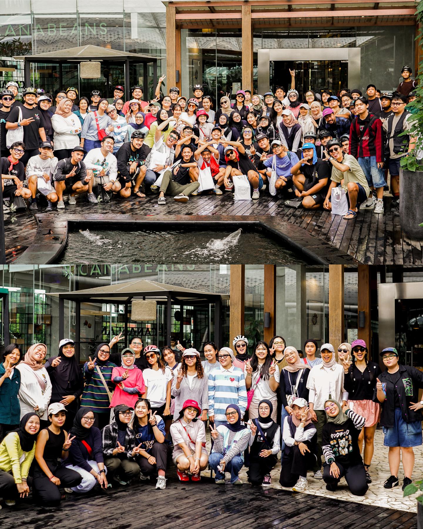 炸芋头条Mantap!但想来Canabeans办公?先看完这篇 5