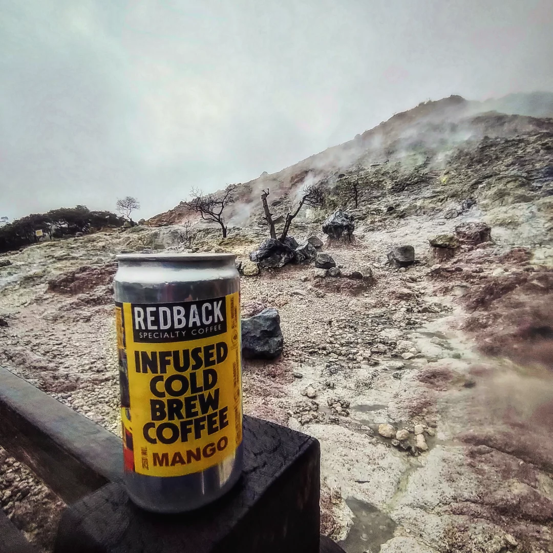 I declare, this Surabaya shop is only for croissants and the view.