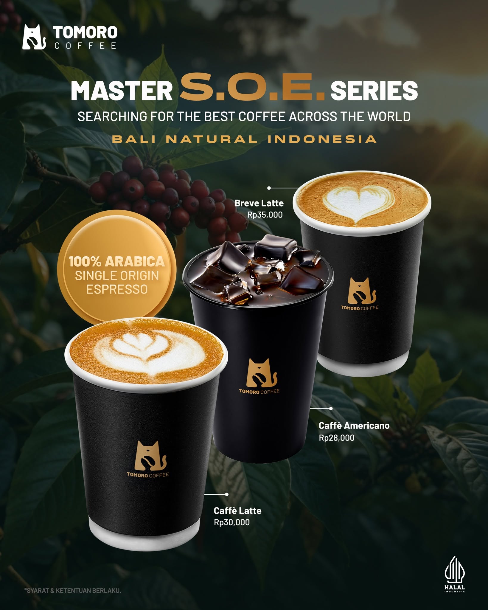 花9k印尼盾在TOMORO坐一下午?先别冲,有些实话我得说 2