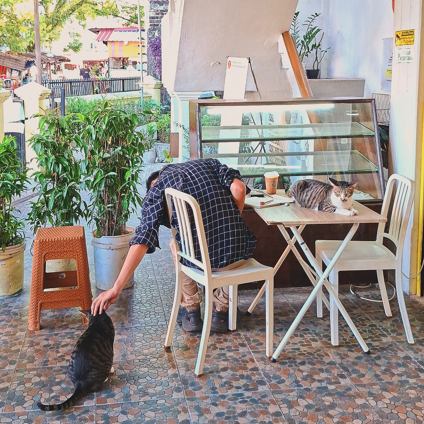 社恐福音!在巴东市中心找到我的精神角落,老板还是心理学家! 3