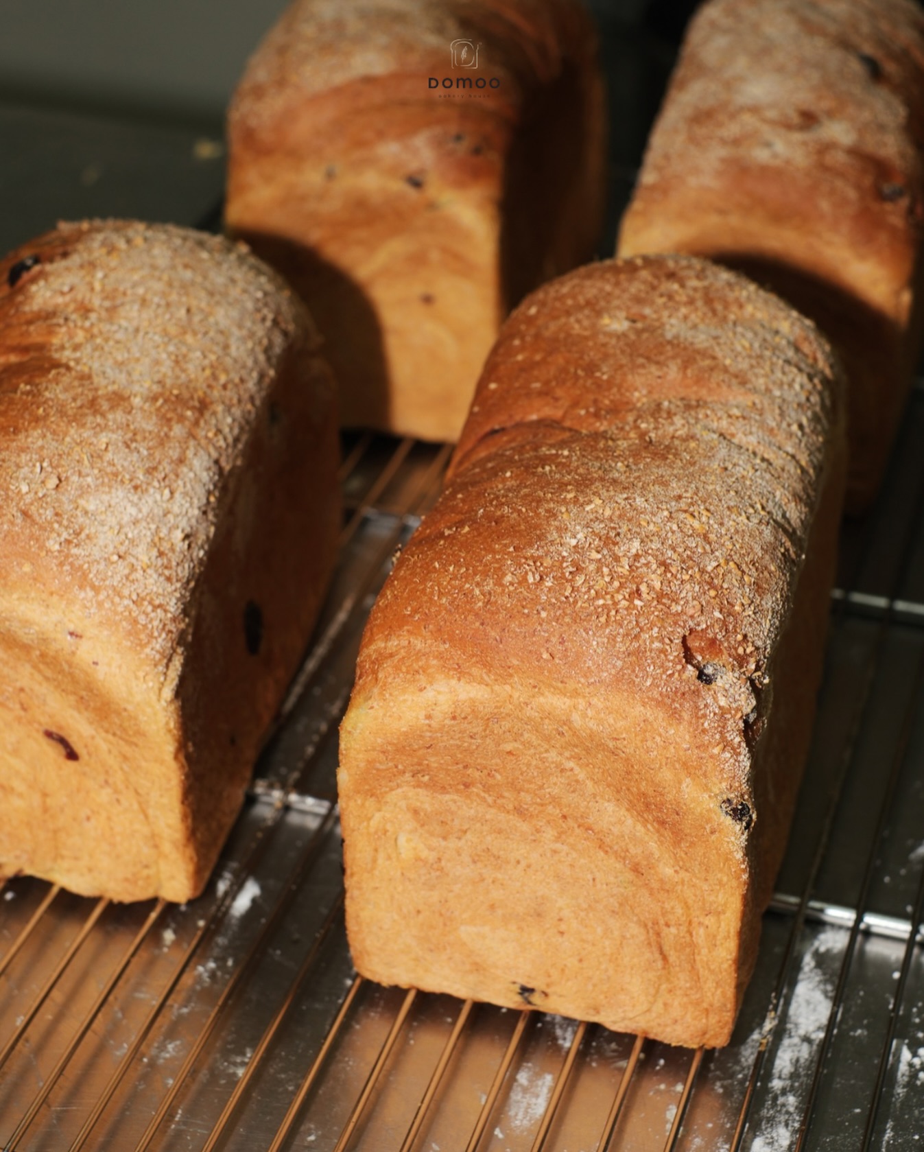 Batam's Newest Hotspot: Truly Mantap or Just an Instagram Trap? 2