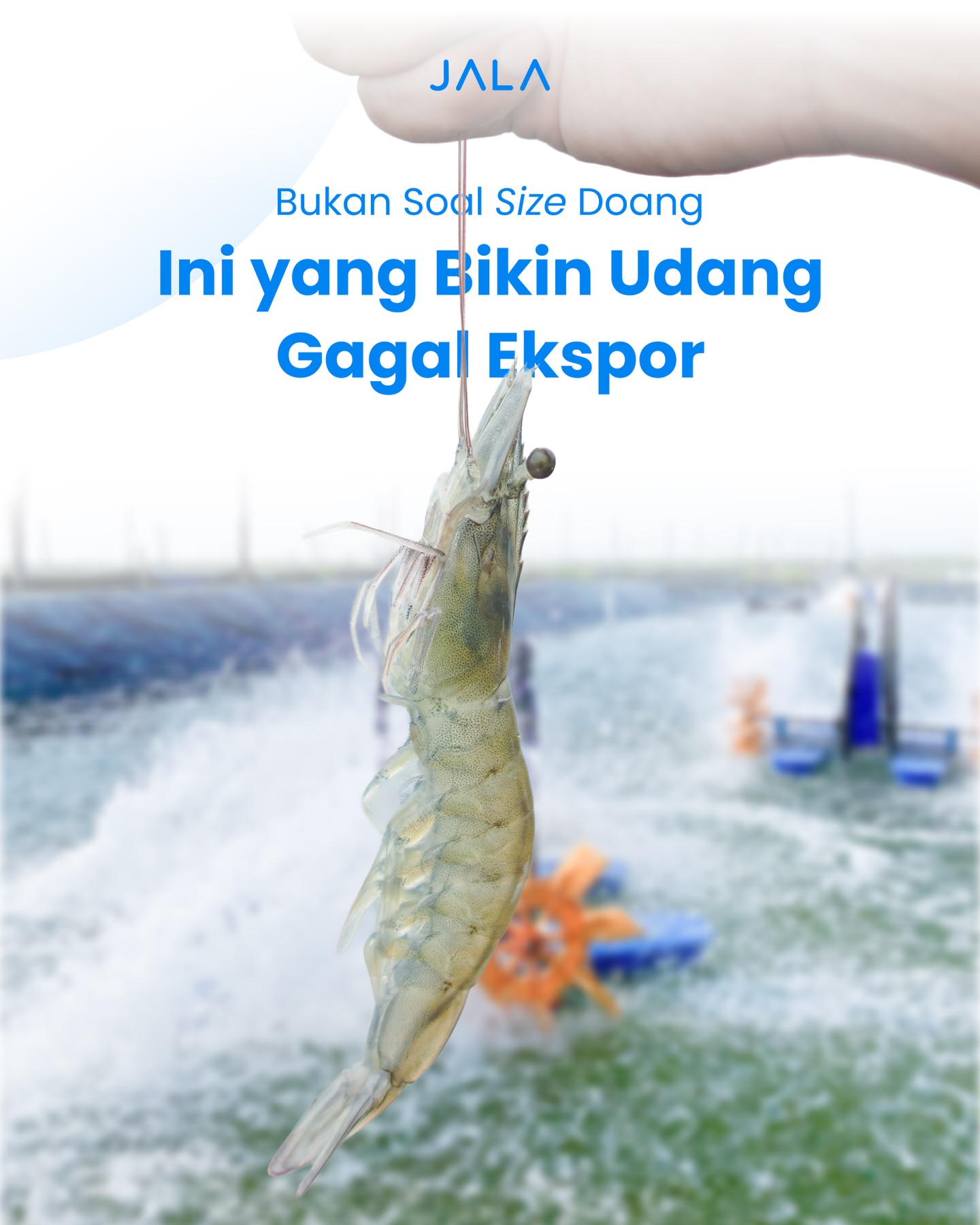 Google 4.9 stars, but I waited almost 2 hours? Jala Seafood, are you serious? 2