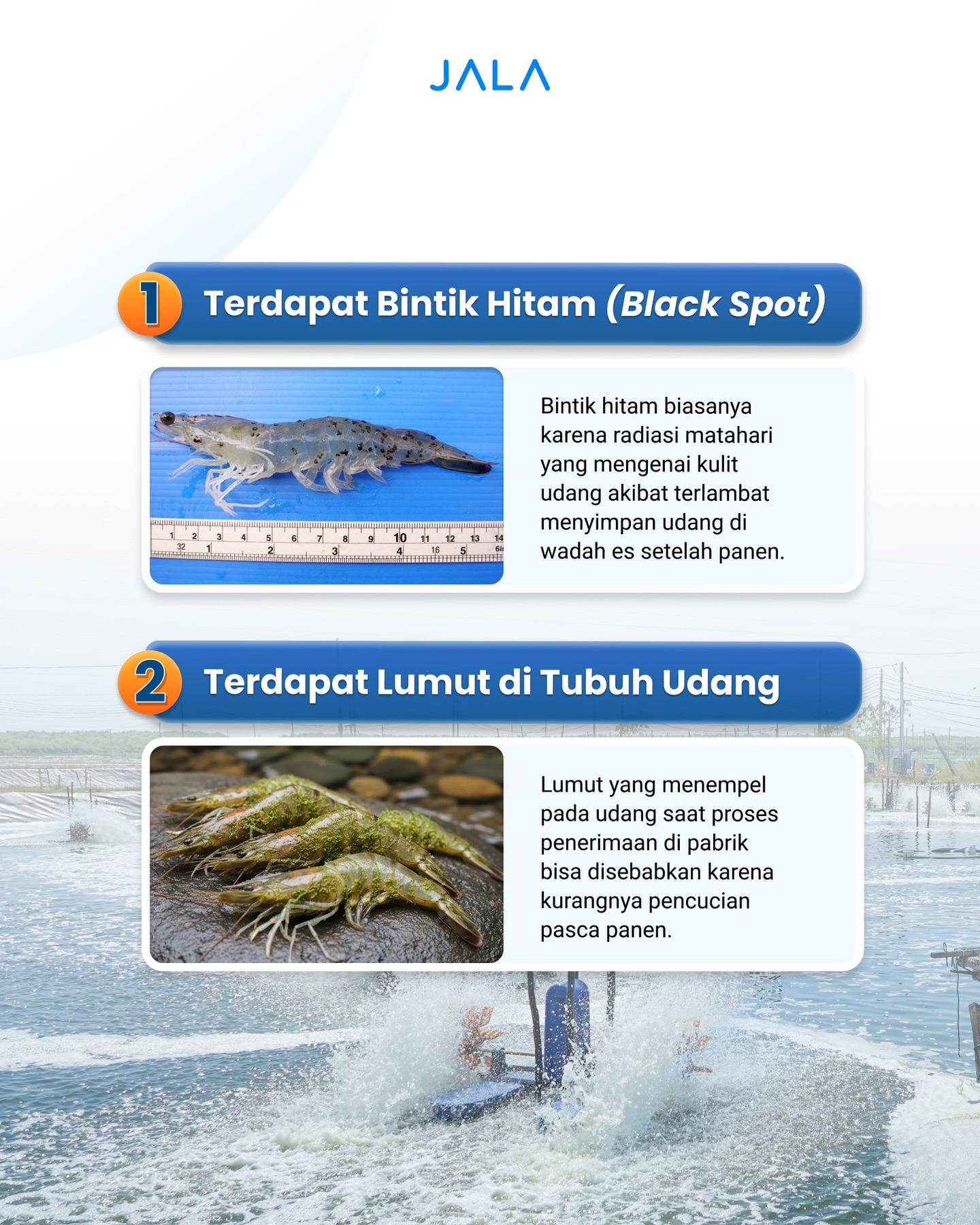 Google 4.9 stars, but I waited almost 2 hours? Jala Seafood, are you serious? 3