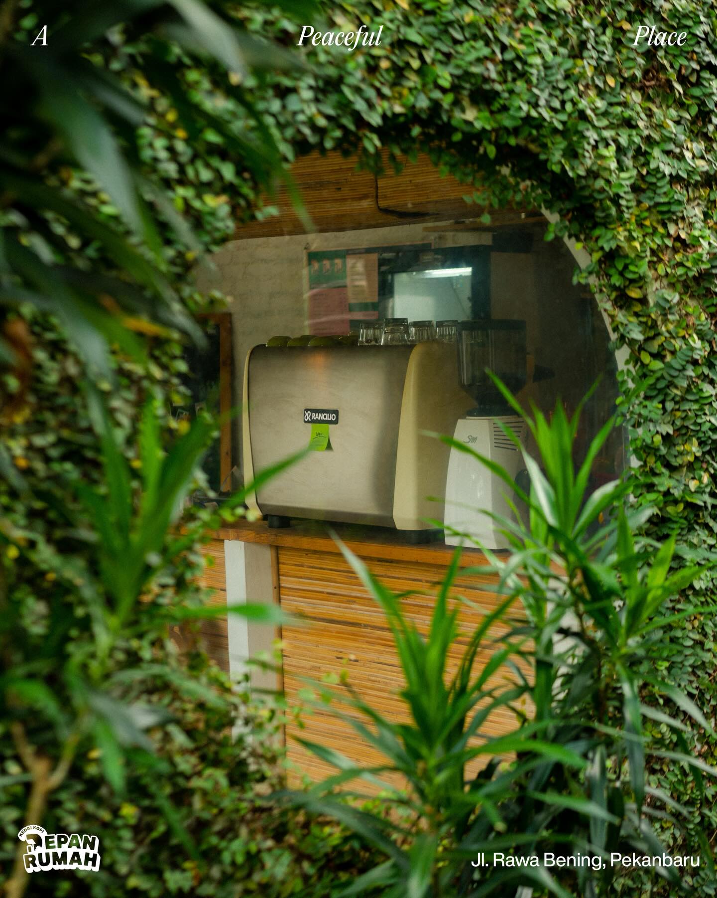 I declare, the best Nongkrong spot in Pekanbaru is hidden in someone's backyard